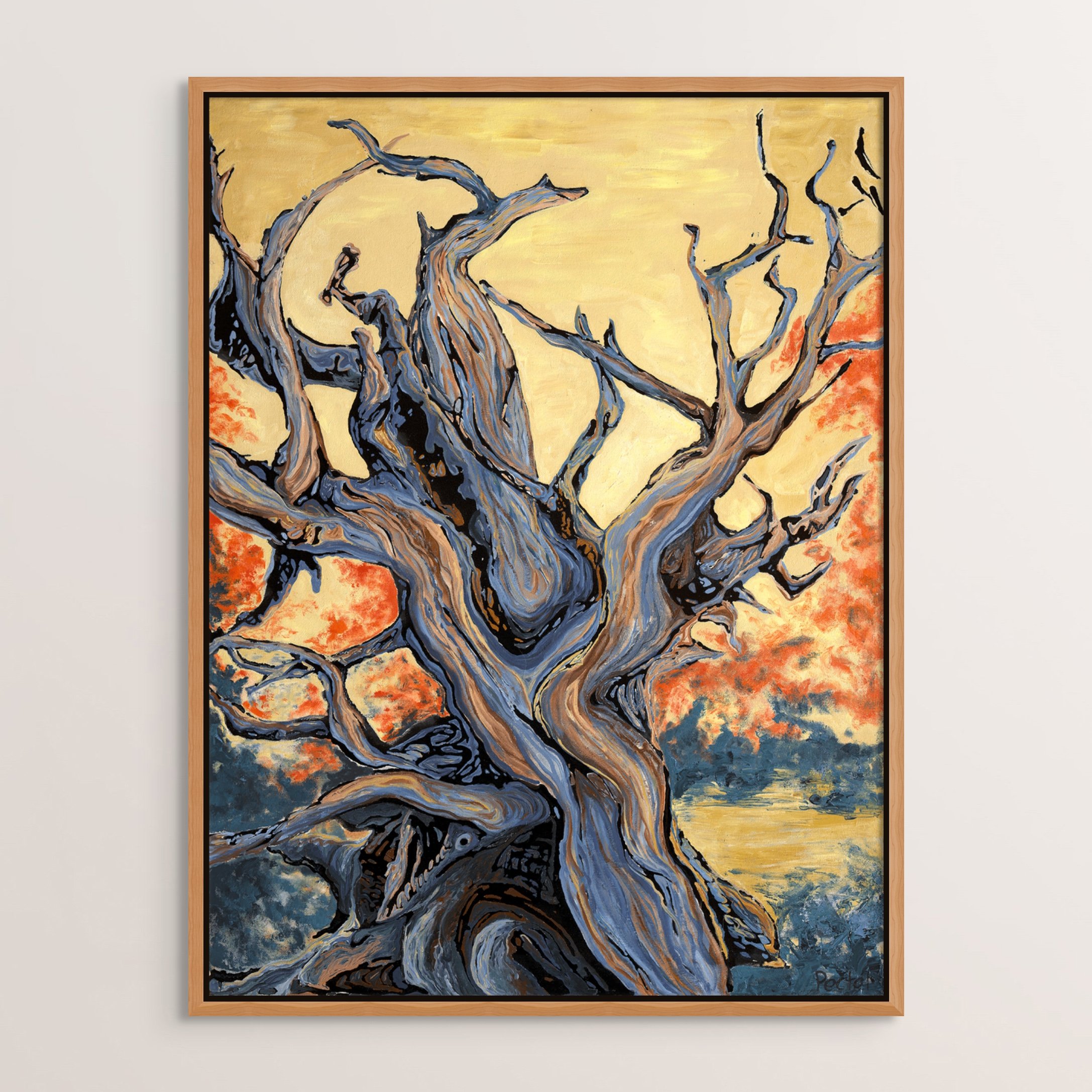 bristlecone pine.jpg