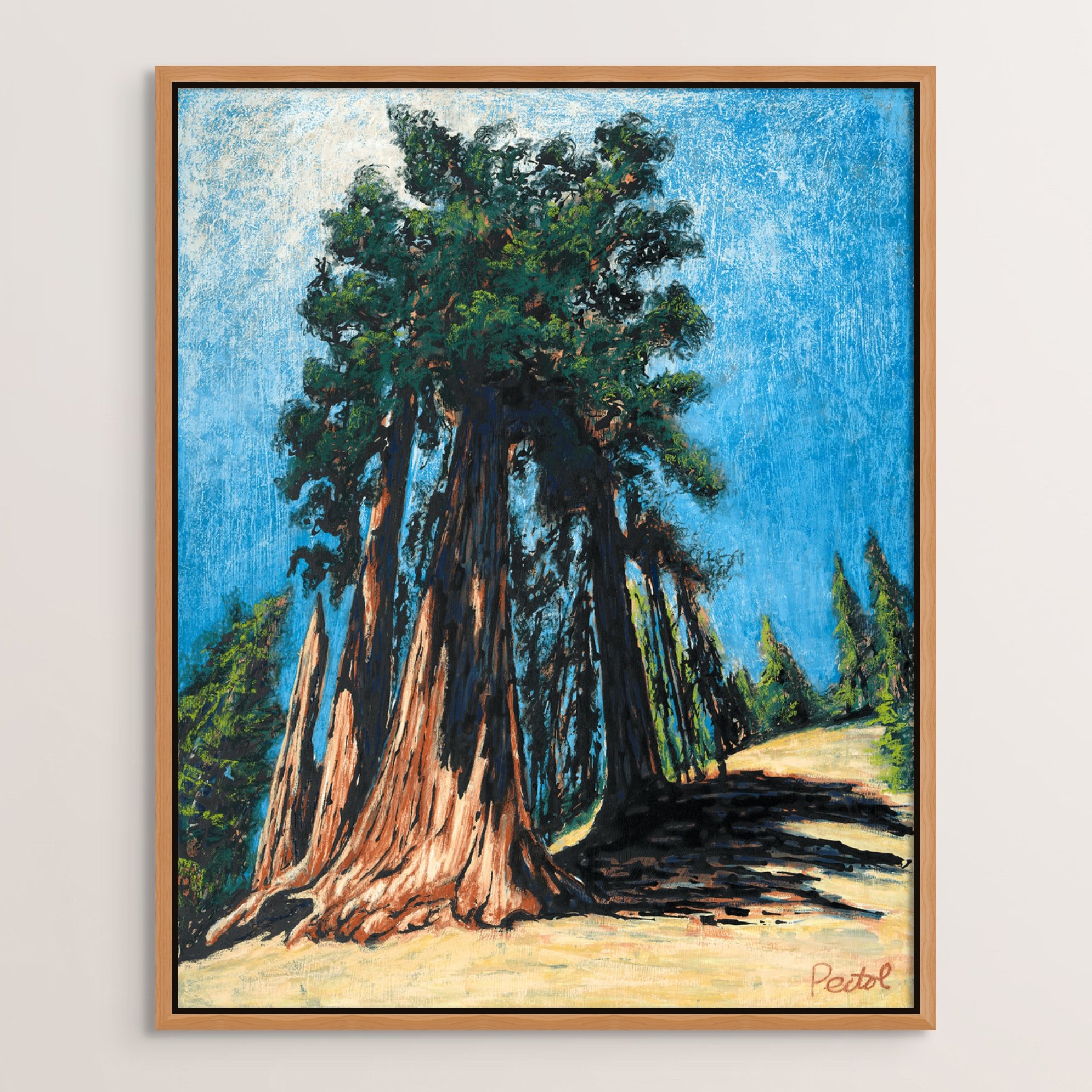 sequoia tree.jpg