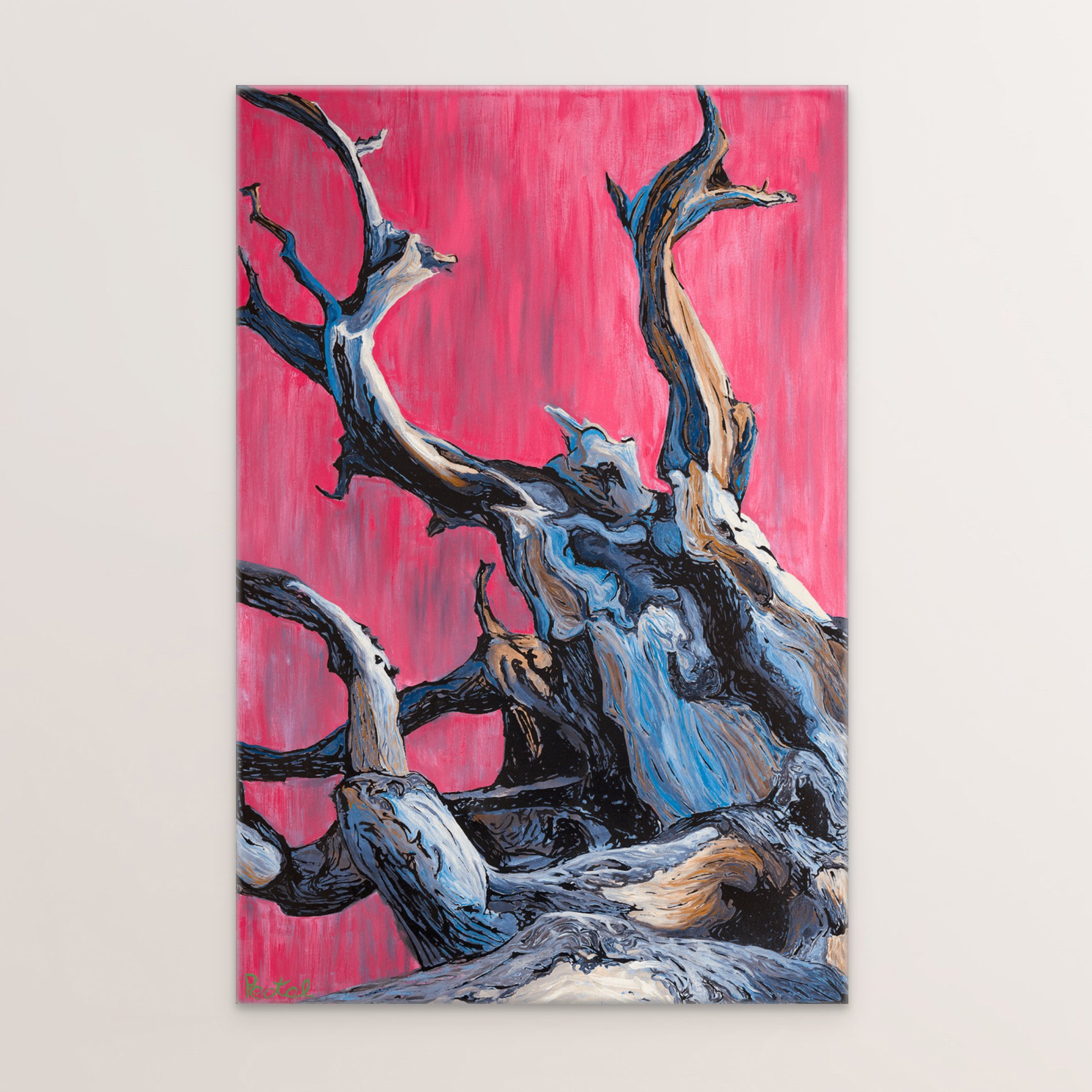 ancient pine, wrap.jpg