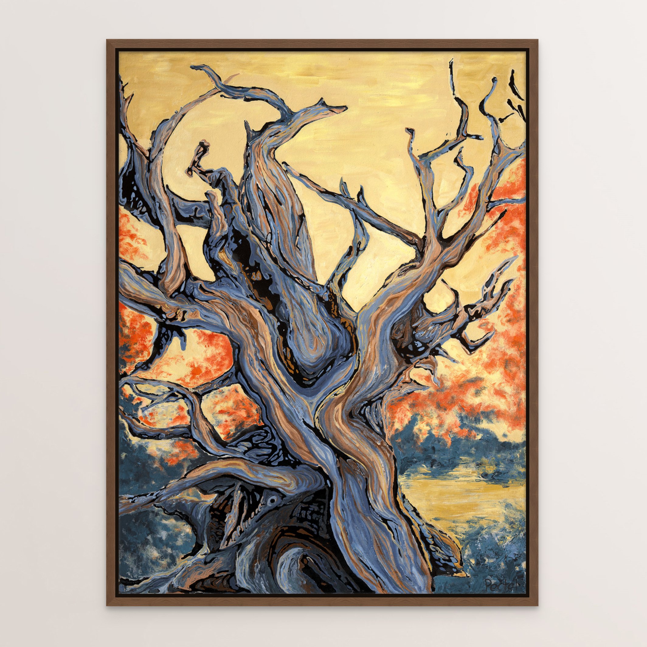 bristlecone pine, walnut.jpg