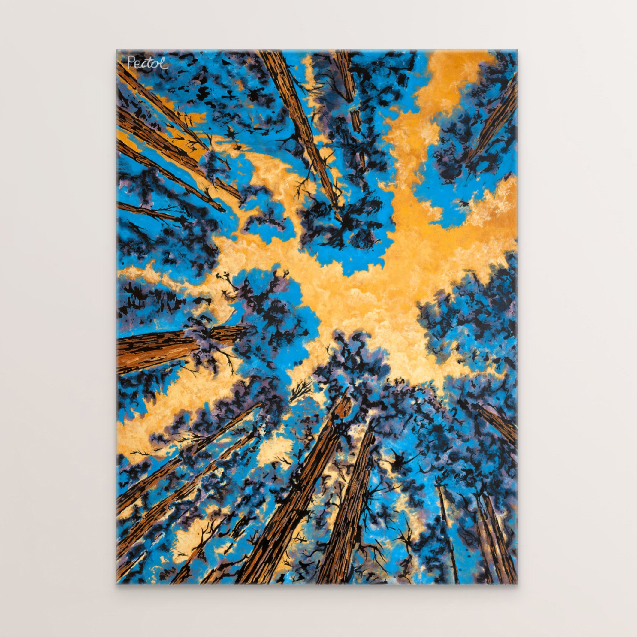 tangerine sky, wrap.jpg