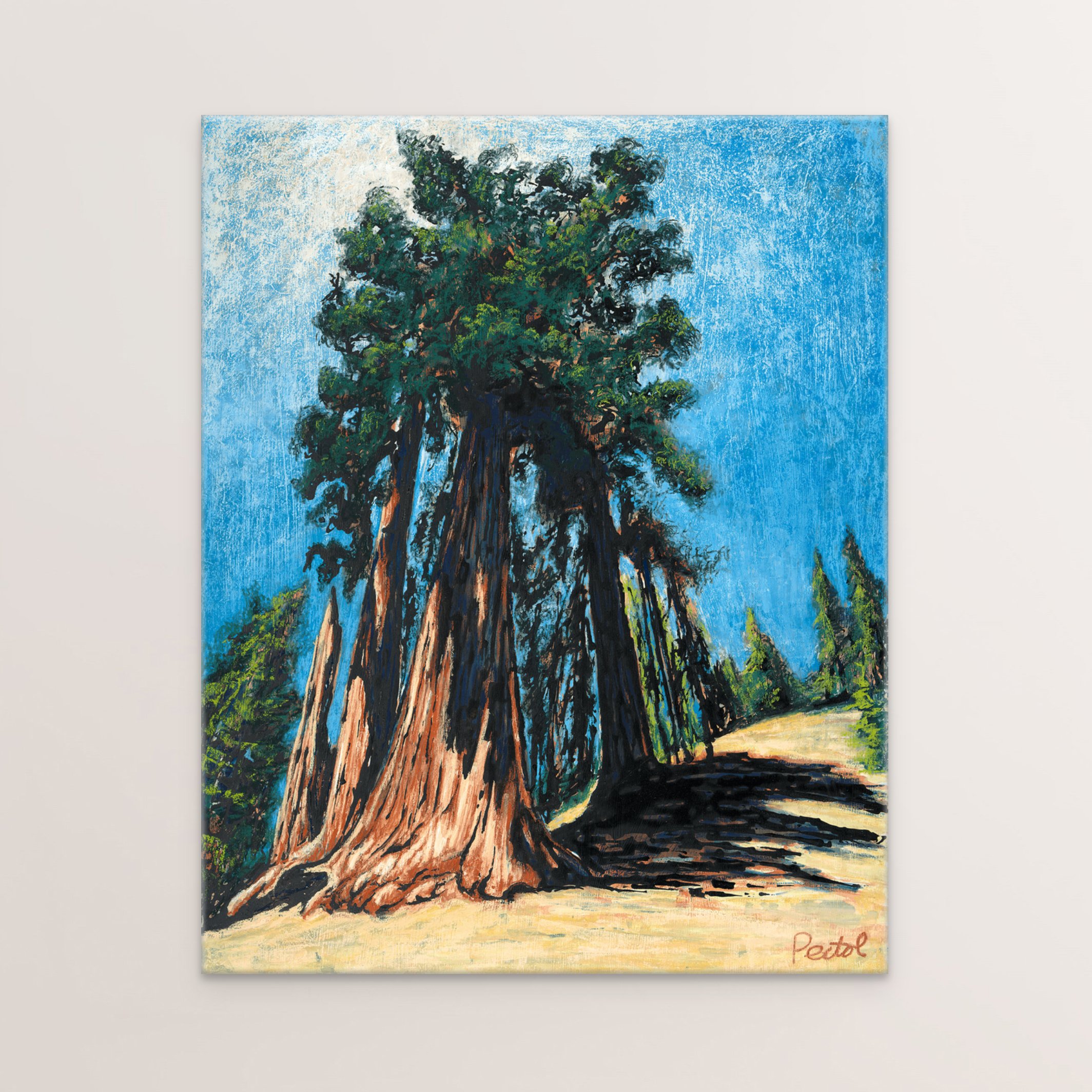 sequoia tree, wrap.jpg