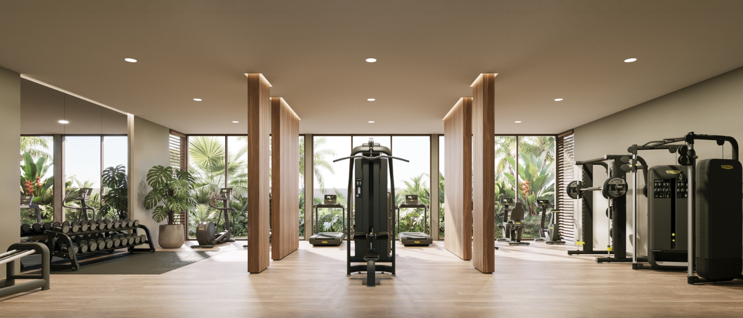 The Legacy - Gymnasio.png