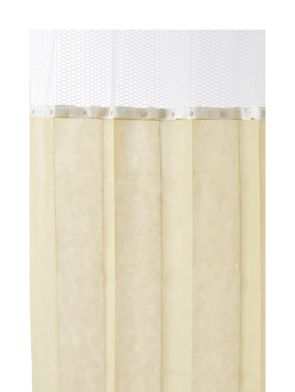 Latte 1.png