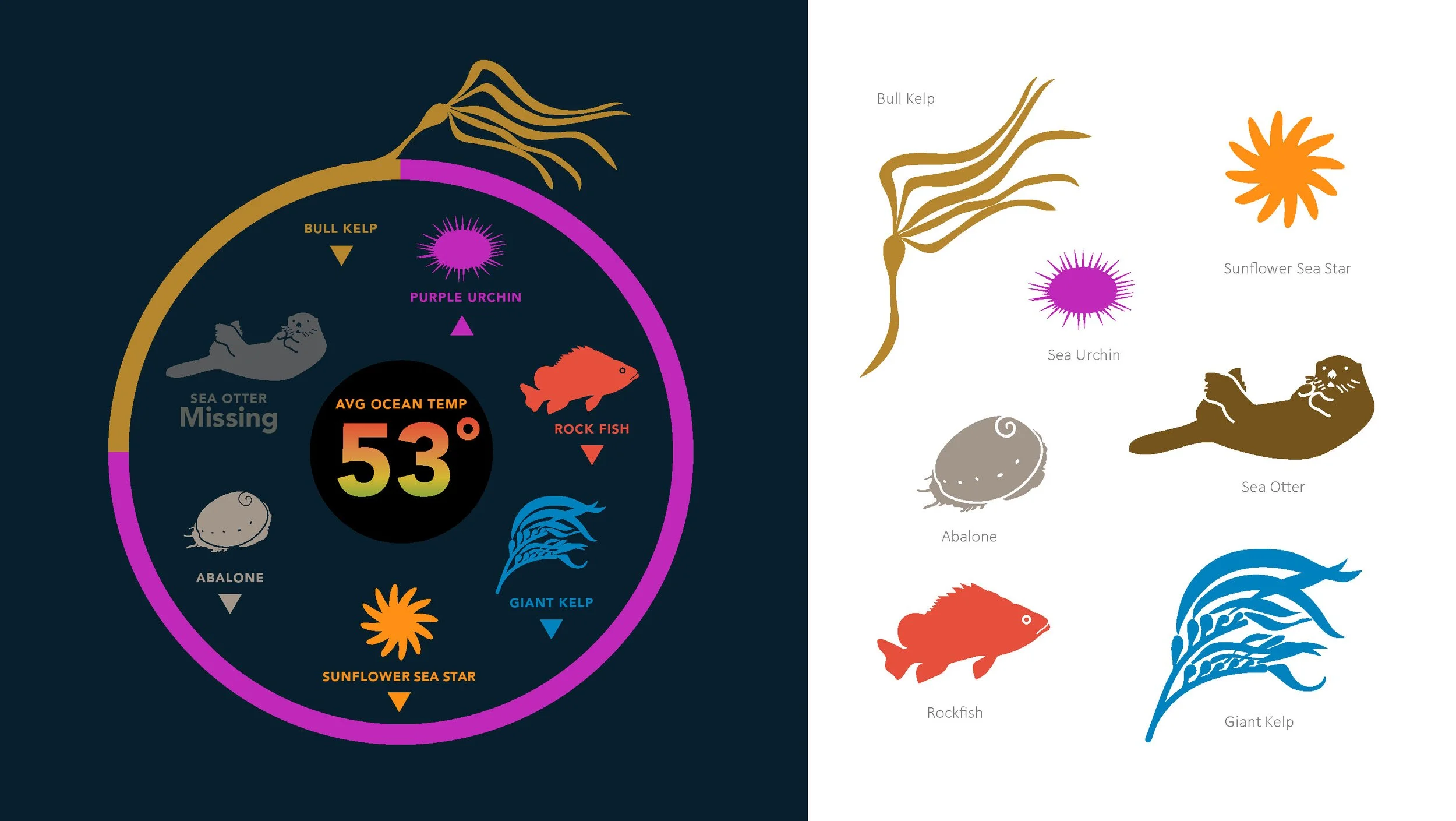 Above/Below — Alex Hammond Creative