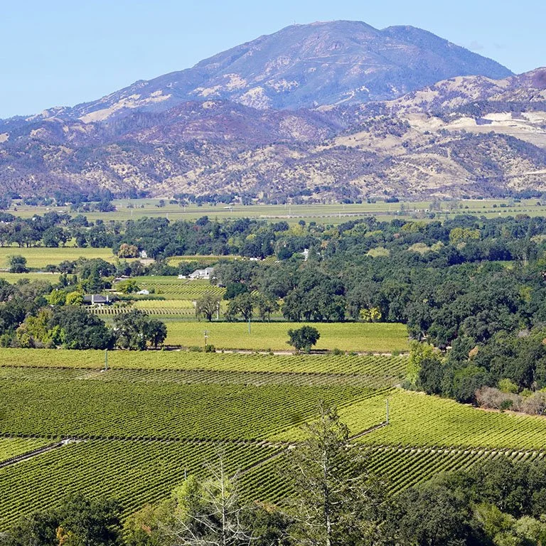 Glass Mountain Napa