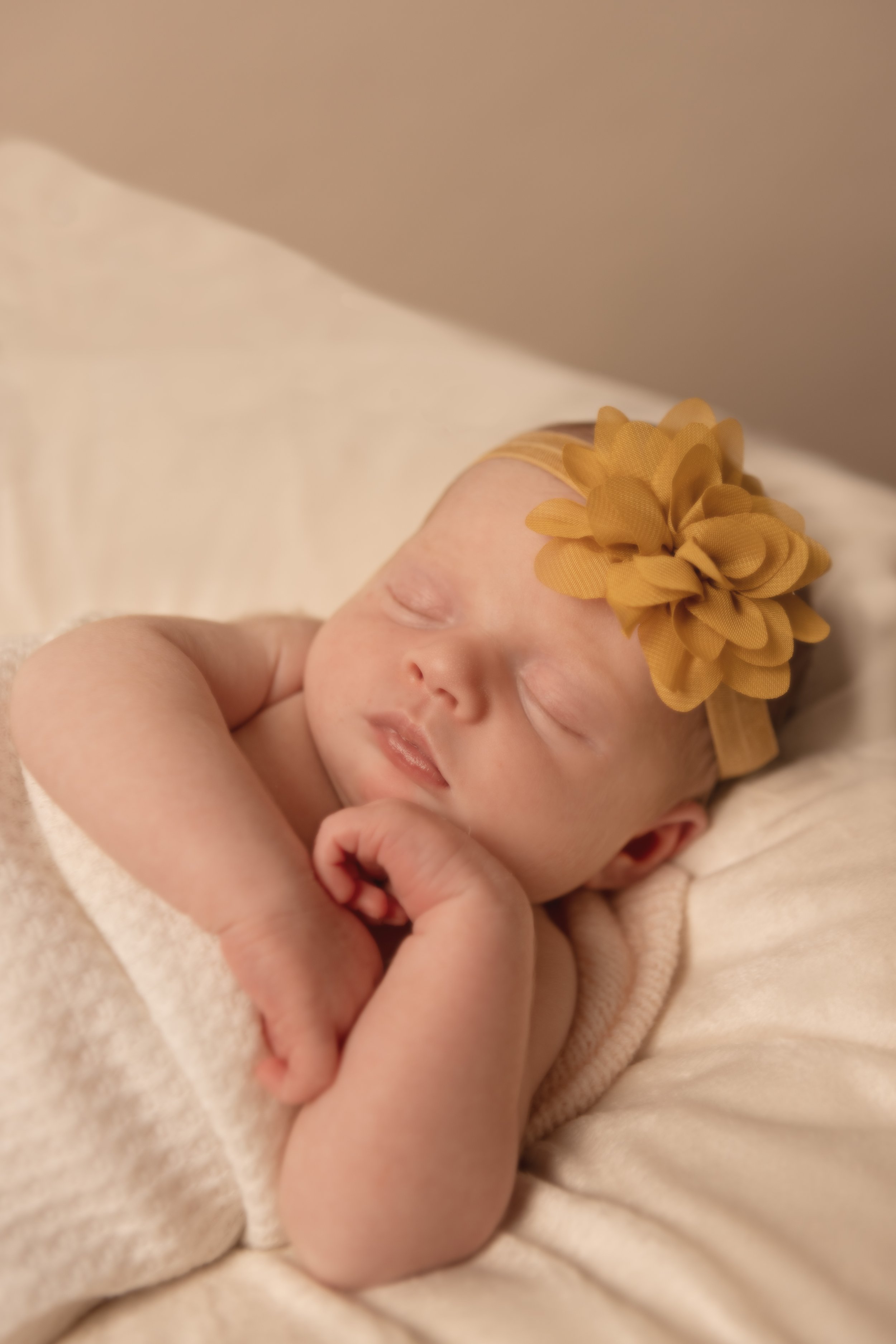 LOULA Photography, Baby Poppy_21.jpg