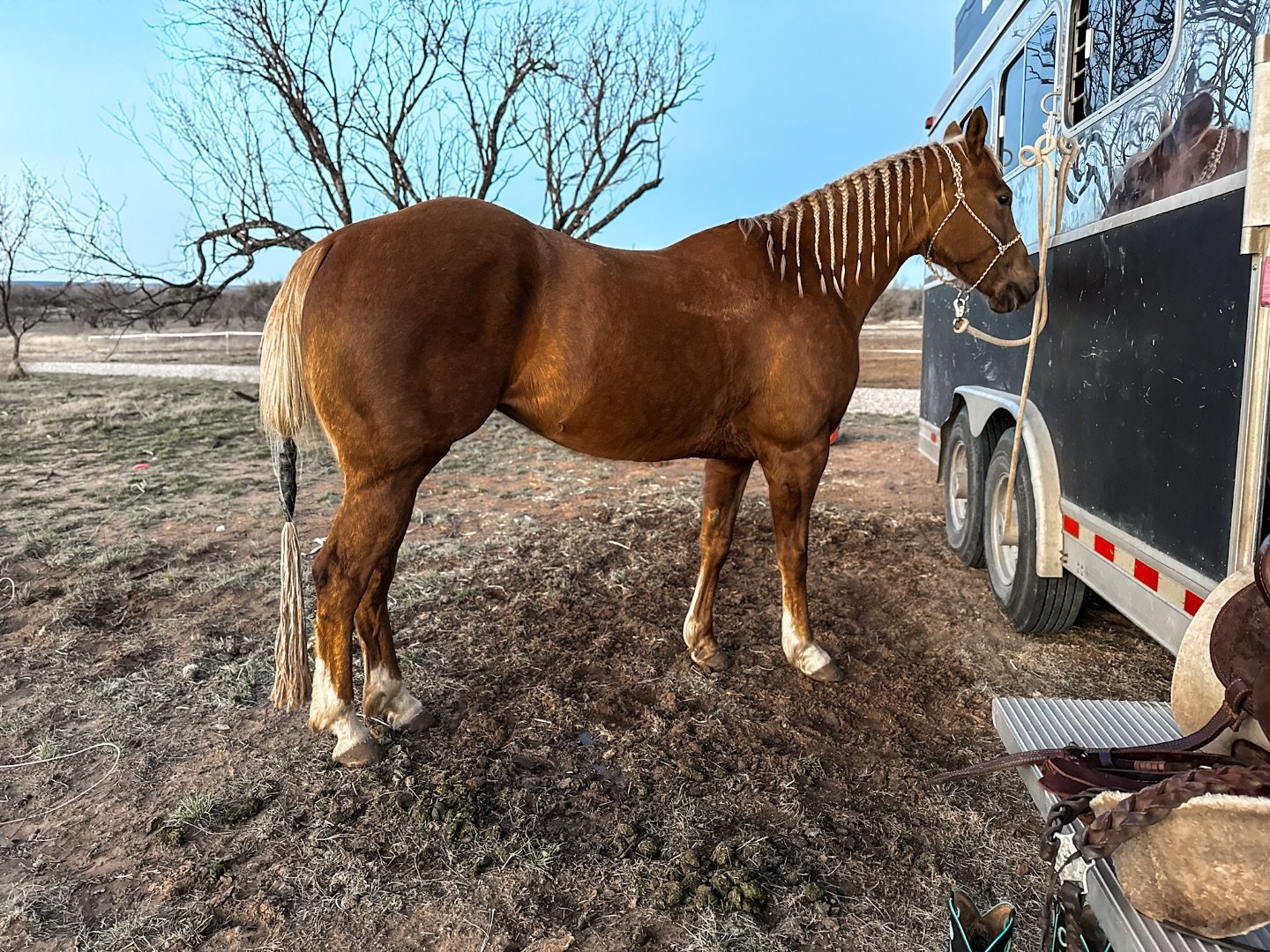 Shakira&rsquo;s been LOVING her time off 🤣 Meanwhile, I&rsquo;m over here riding maybe once every few weeks and starting to go stir crazy!

I&rsquo;m down to just one client horse now, and they&rsquo;re heading home soon&hellip; and honestly, I&rsqu