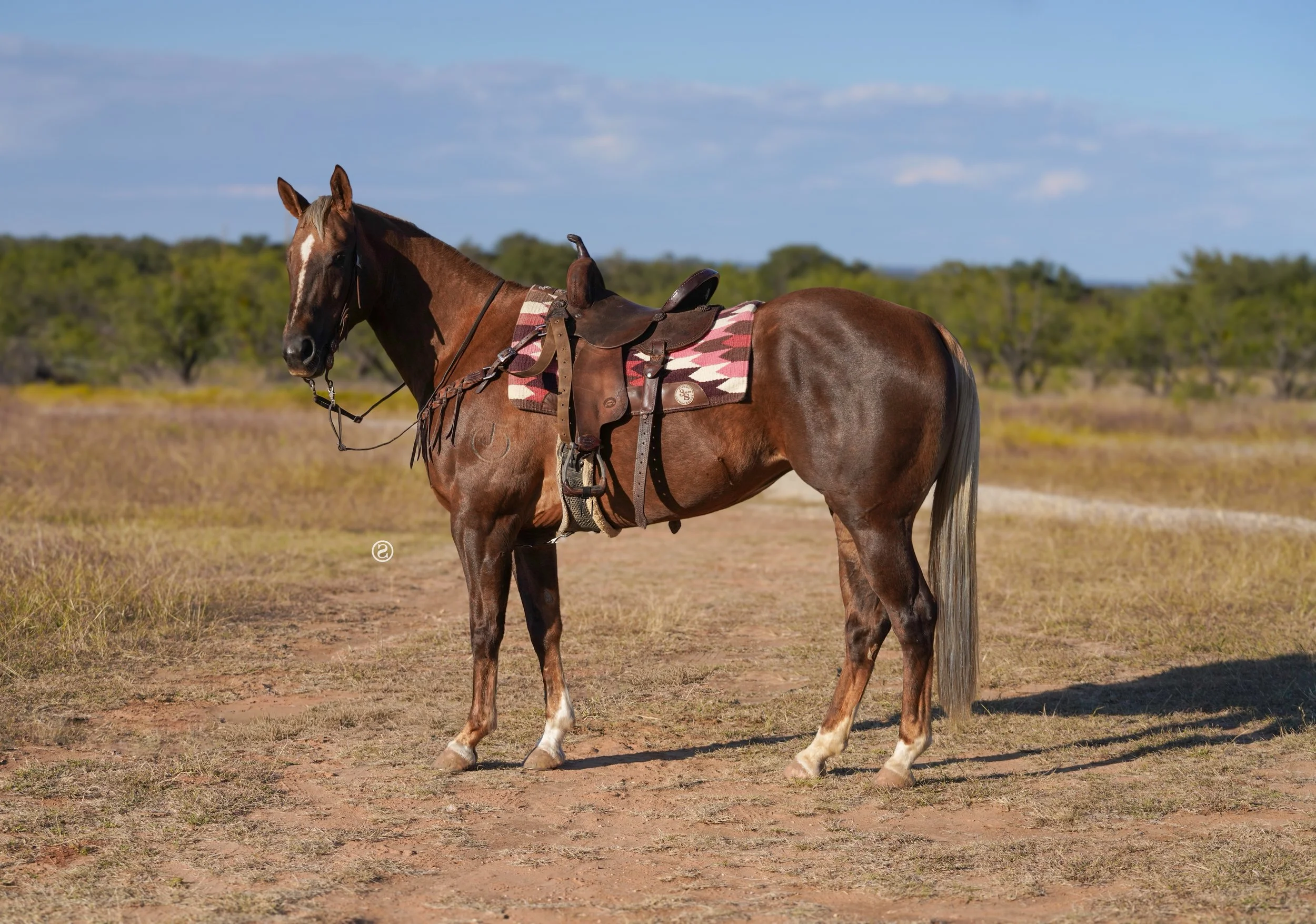 Hipps Dont Lie aka "Shakira"