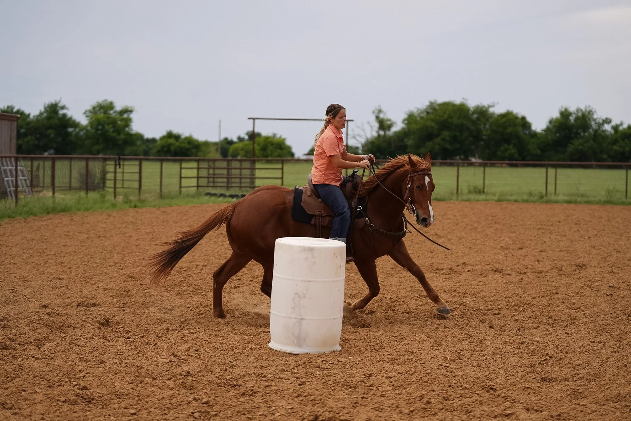 Jess Another Rebel aka "Pecan"