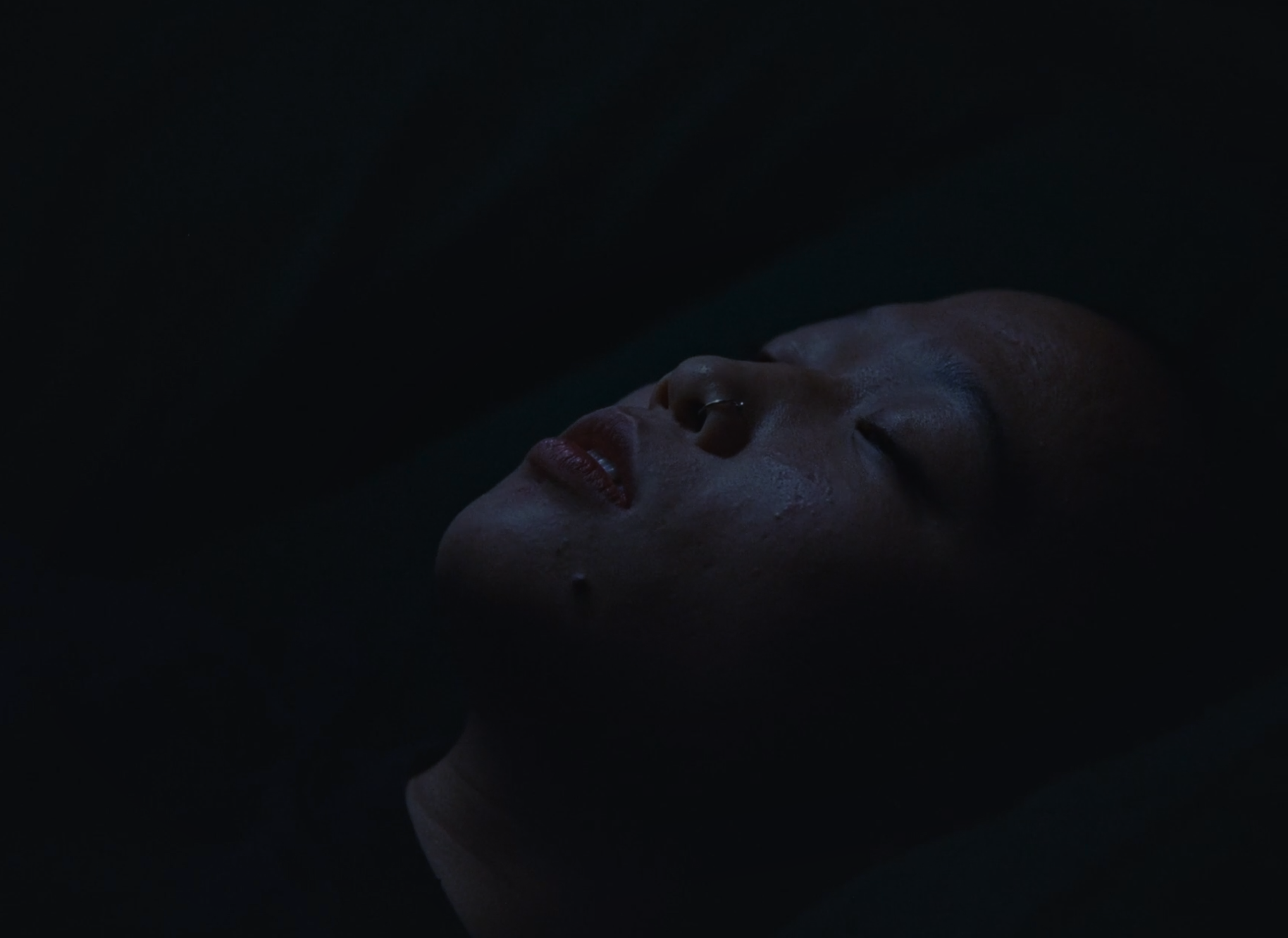 Still 2026-02-22 120743_1.1.3.png