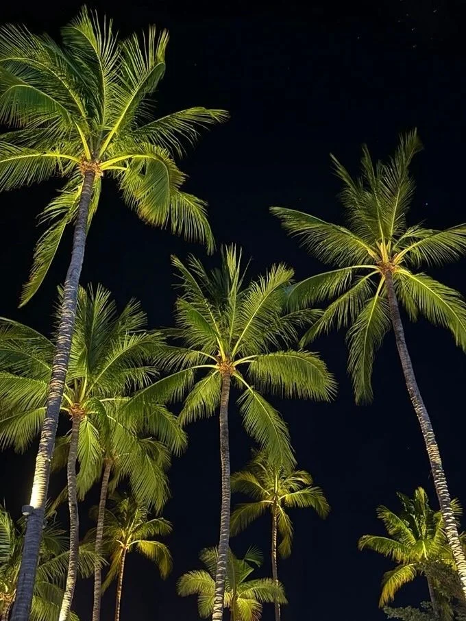 All we ask 💅 #CommunityFirst #SouthFloridaLocals