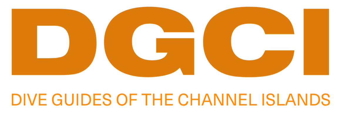 DIVE GUIDES CHANNEL ISLANDS