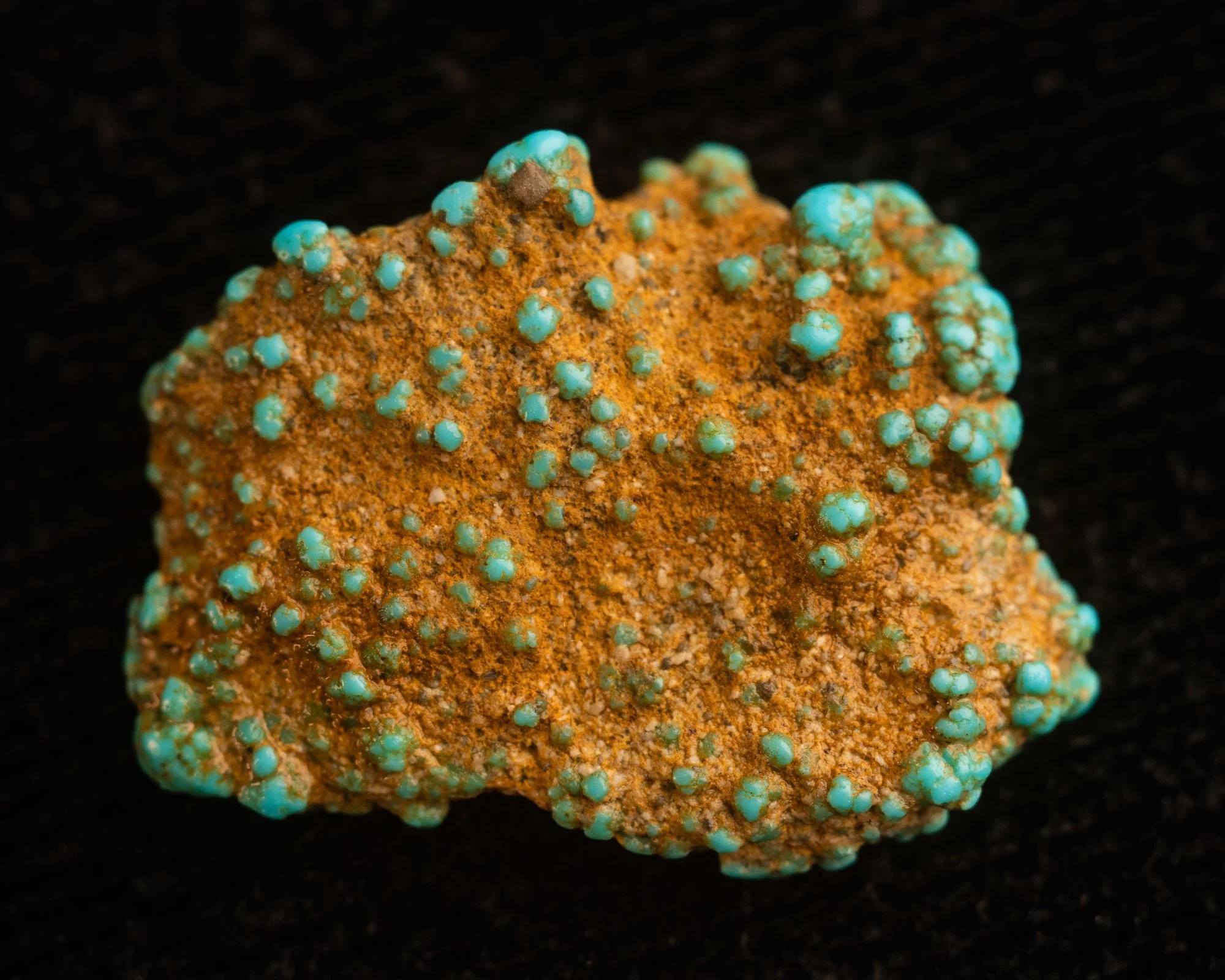 Lone-Mountain-Turquoise-Nugget-Specimen-Egg-68.jpg
