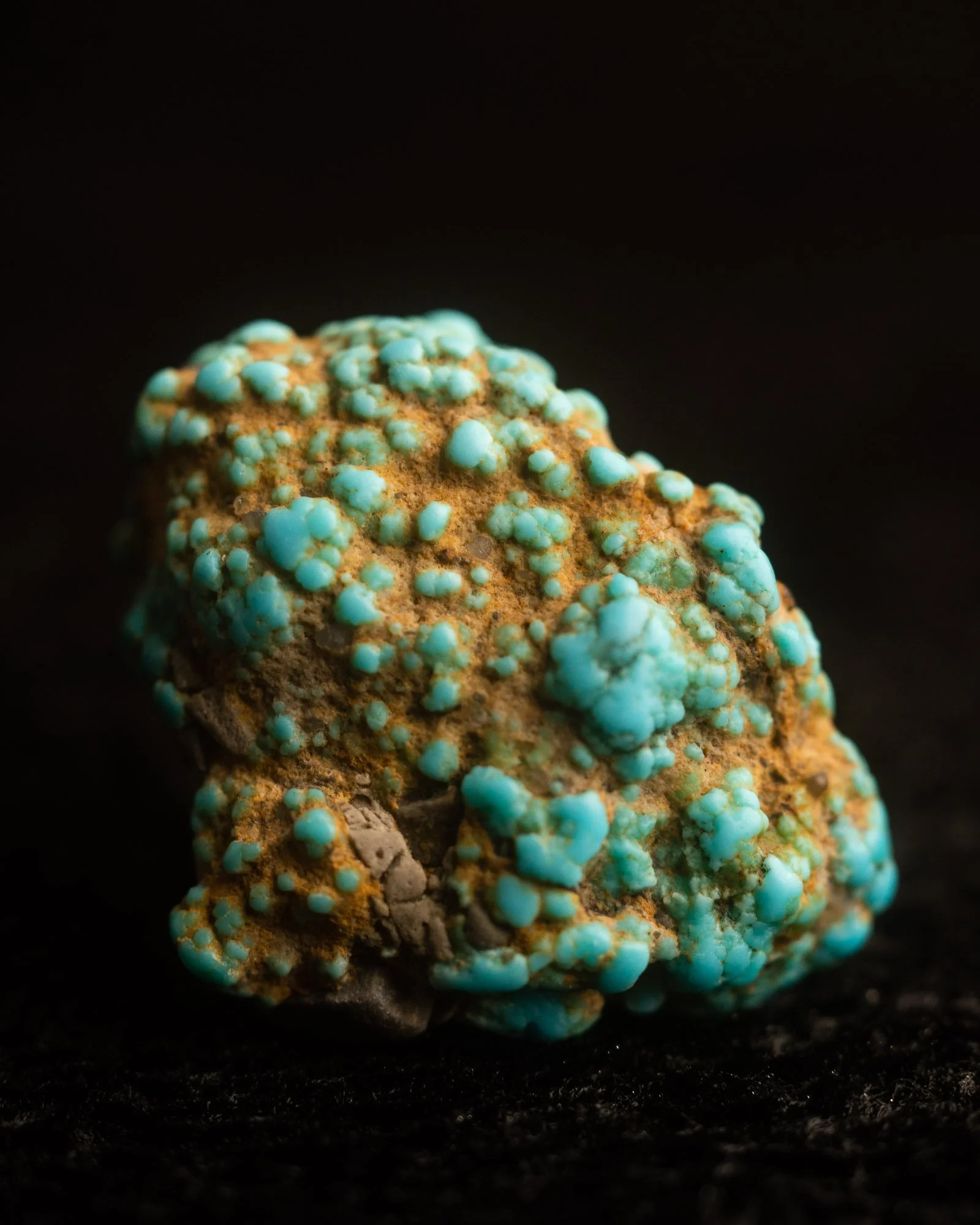 Lone-Mountain-Turquoise-Nugget-Specimen-Egg-72.jpg