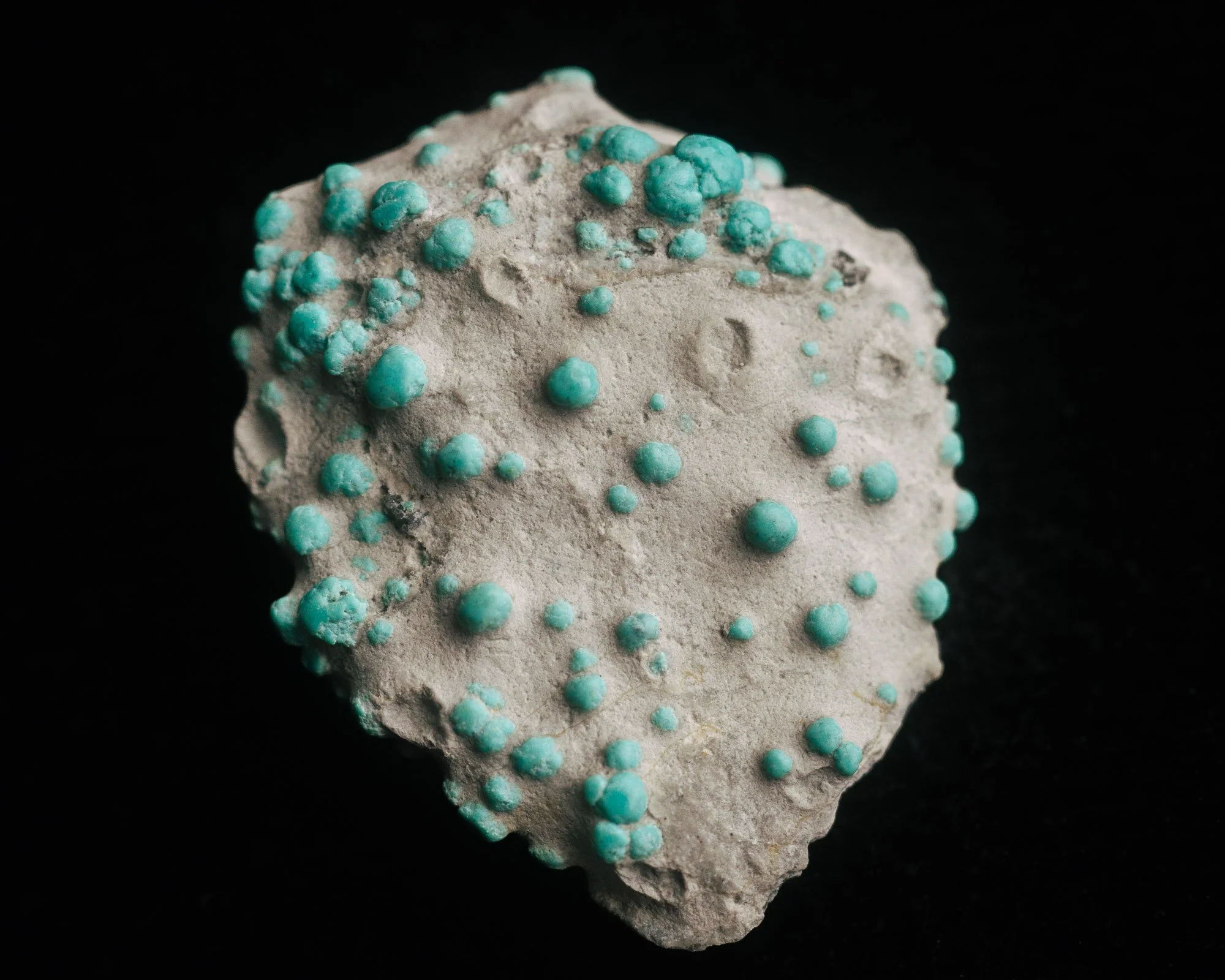Lone-Mountain-Turquoise-Nugget-Specimen-Egg-16.jpg