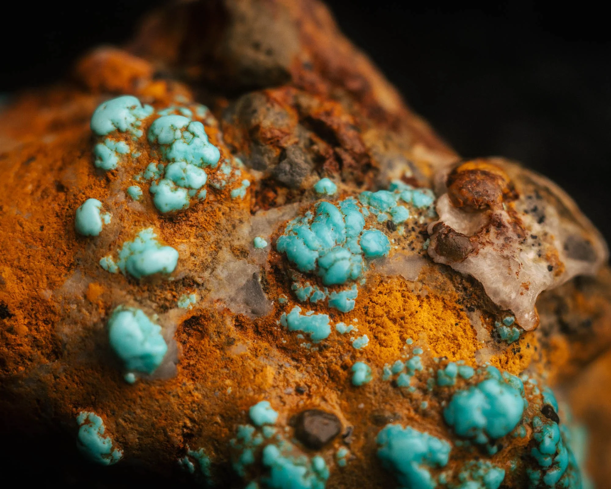 Lone-Mountain-Turquoise-Nugget-Specimen-Egg-10.jpg
