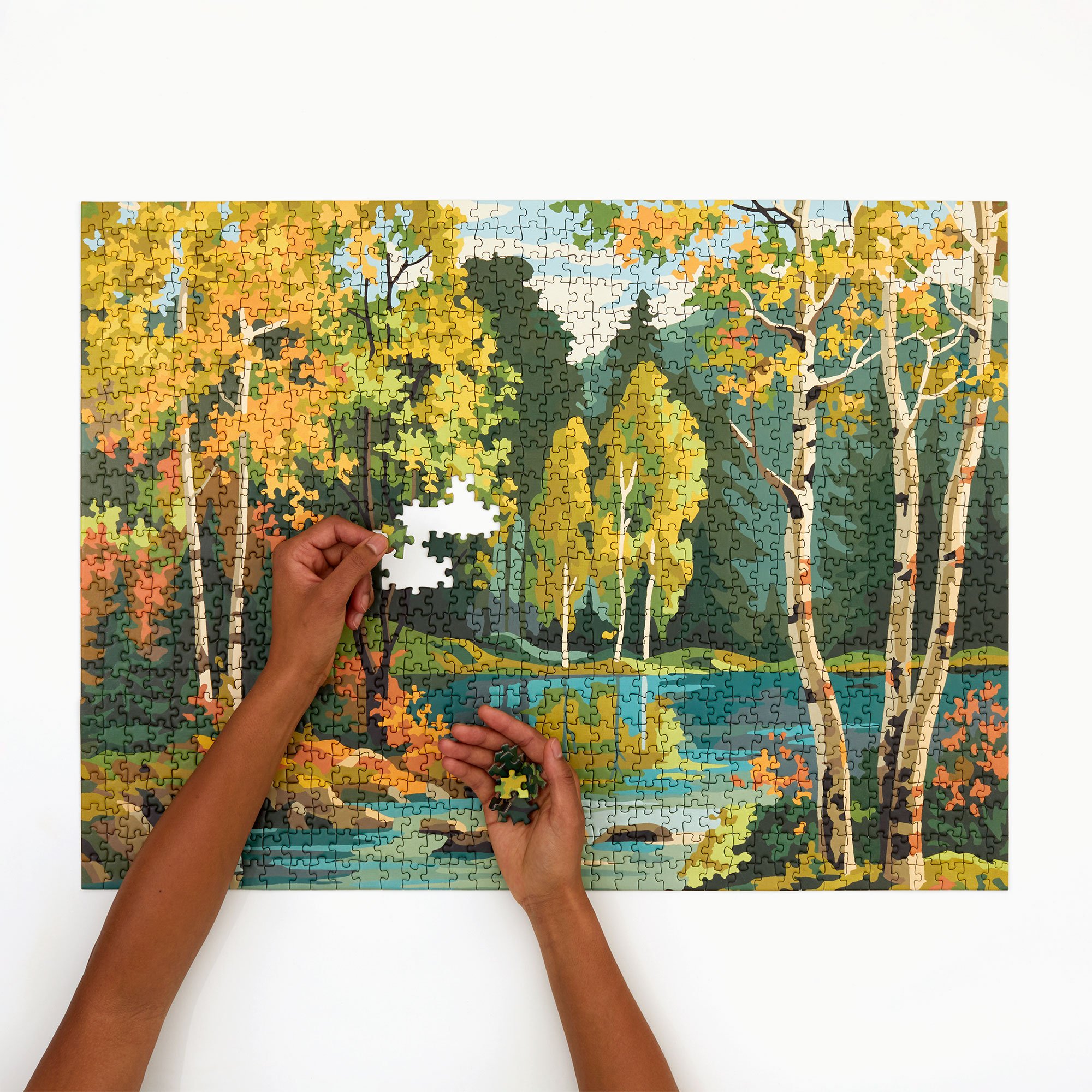 PAINT BY NUMBERS - FOREST — Four Point Puzzles