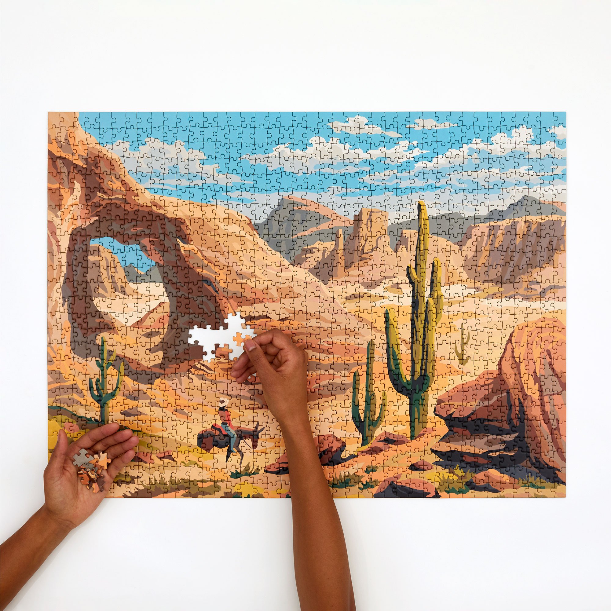 PAINT BY NUMBERS - DESERT — Four Point Puzzles