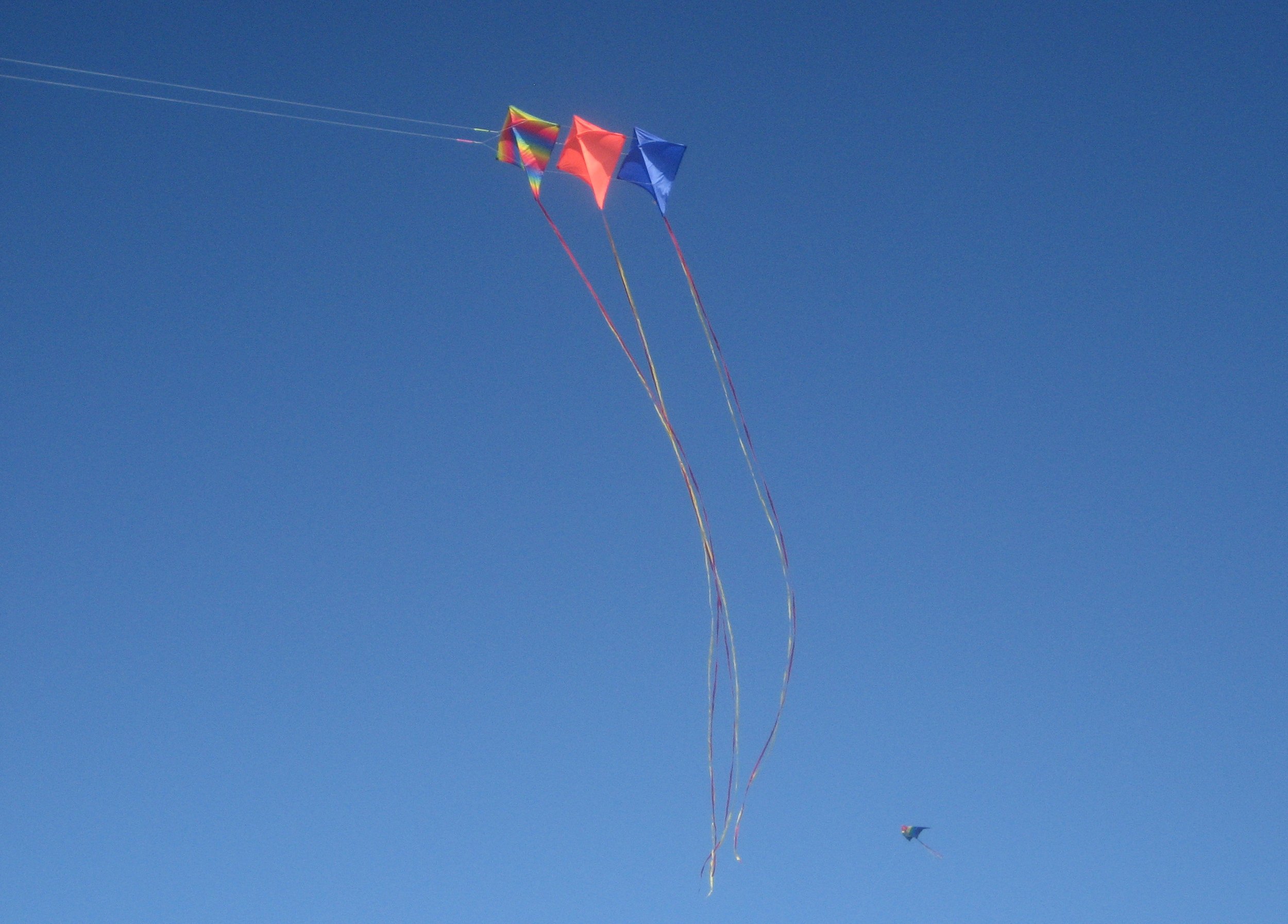 Kites