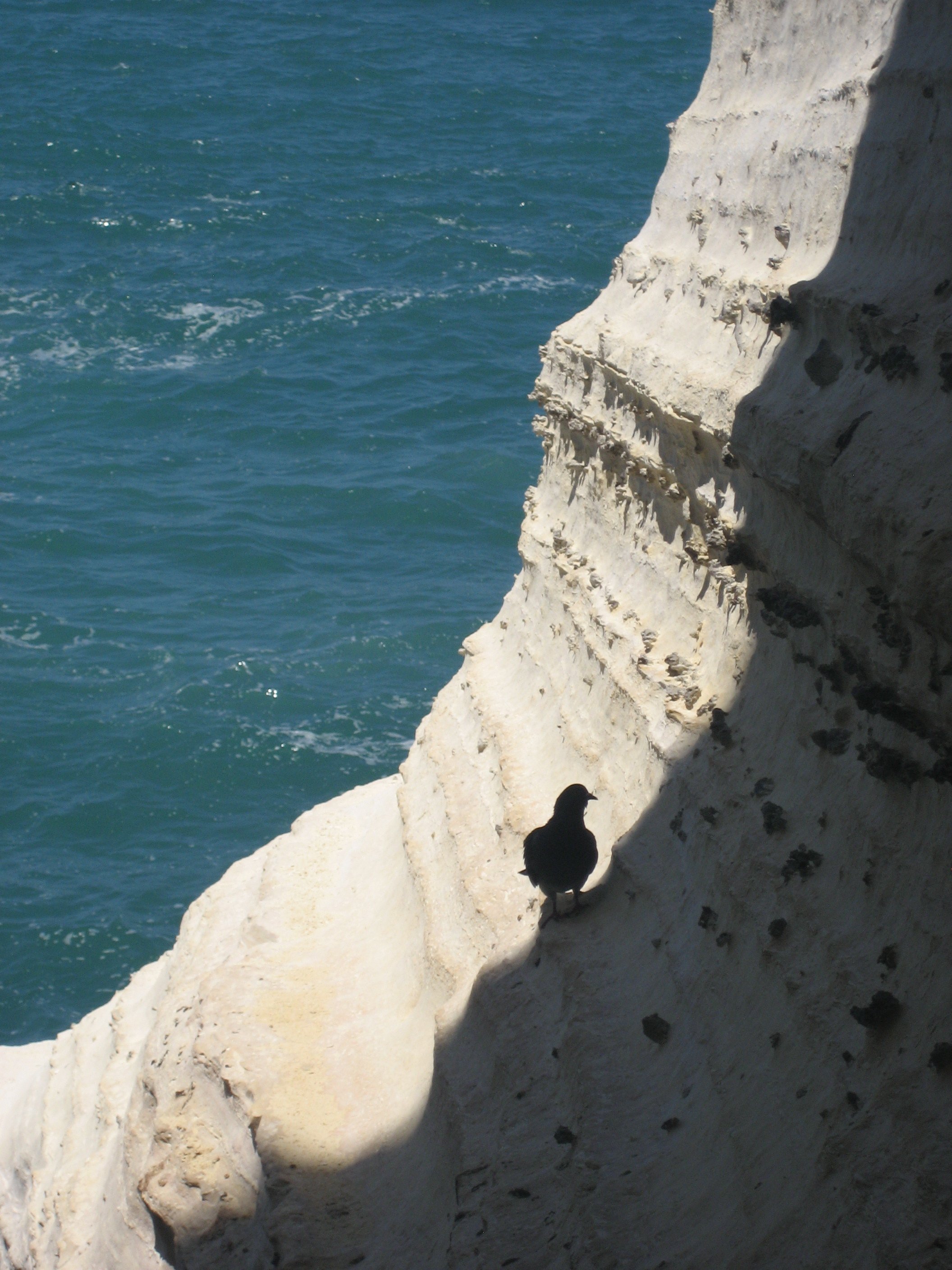 Rosh Hanikra Resident