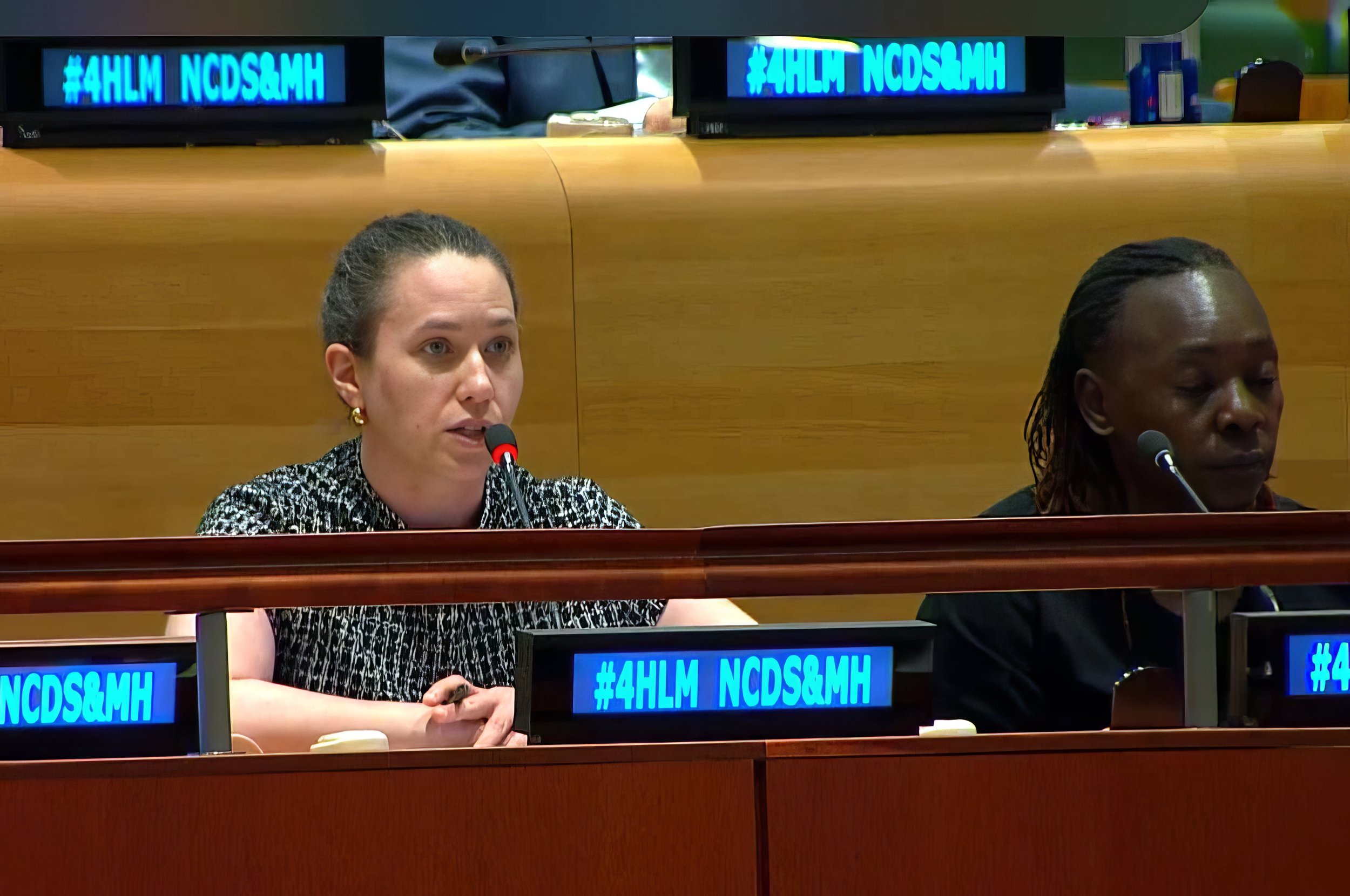 At a United Nations Hearing, Network Provides Testimony on Global Health Gaps