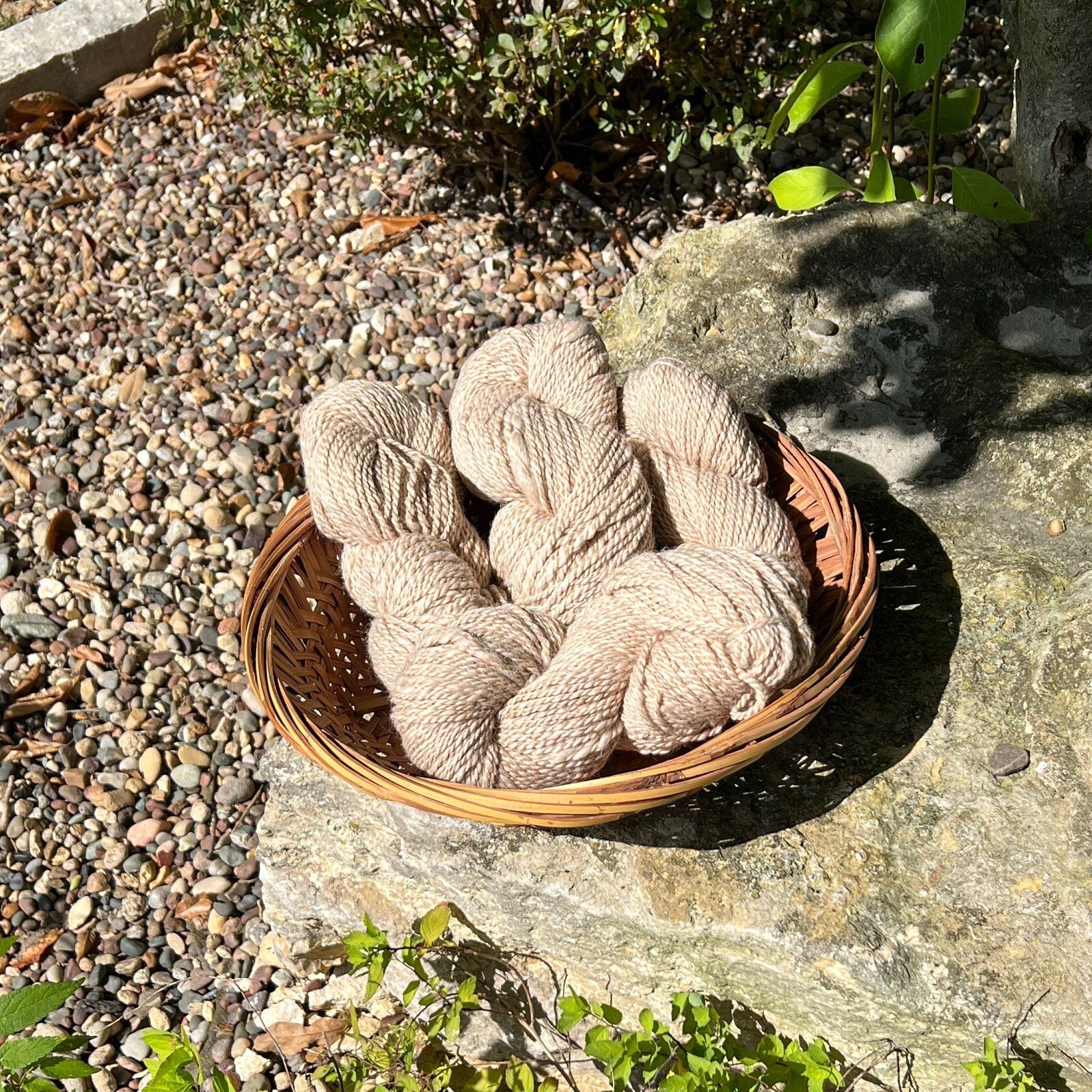 https://i.etsystatic.com/8717998/r/il/bfa7f6/4201317662/il_fullxfull.4201317662_iaec.jpg