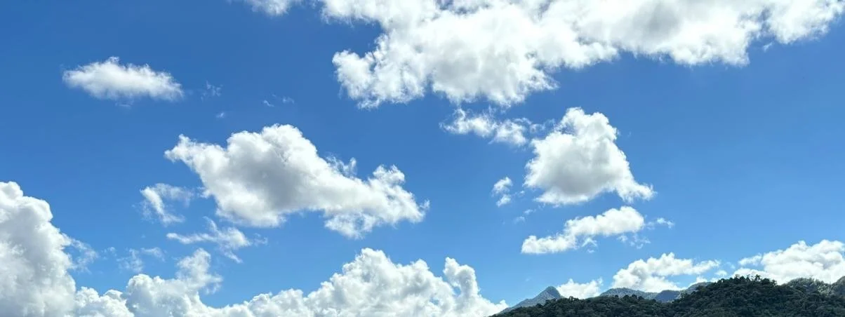 East Pacific easterly wave representation in CMIP6 models