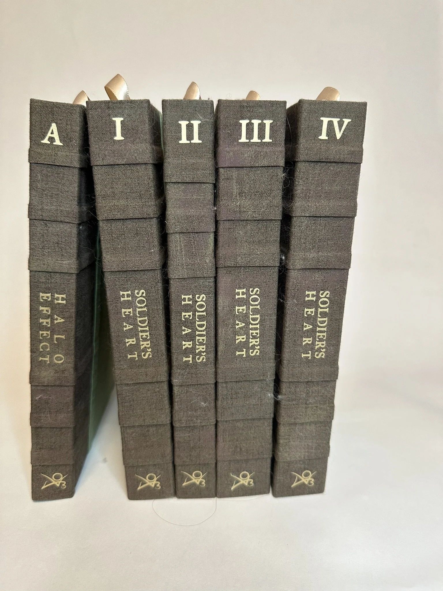 Halo Effect by Alex51324 bound in five volumes