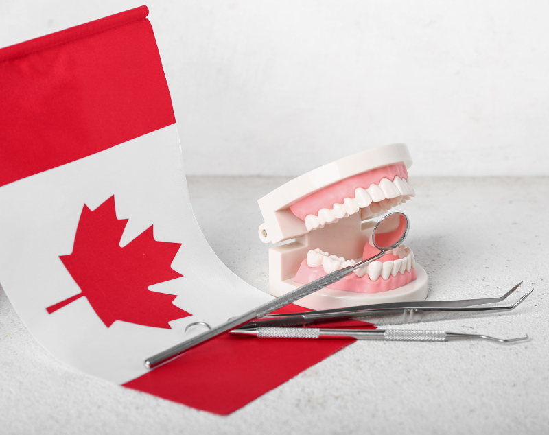 Eligibility for Canada National Dental Plan — Canadian Society for