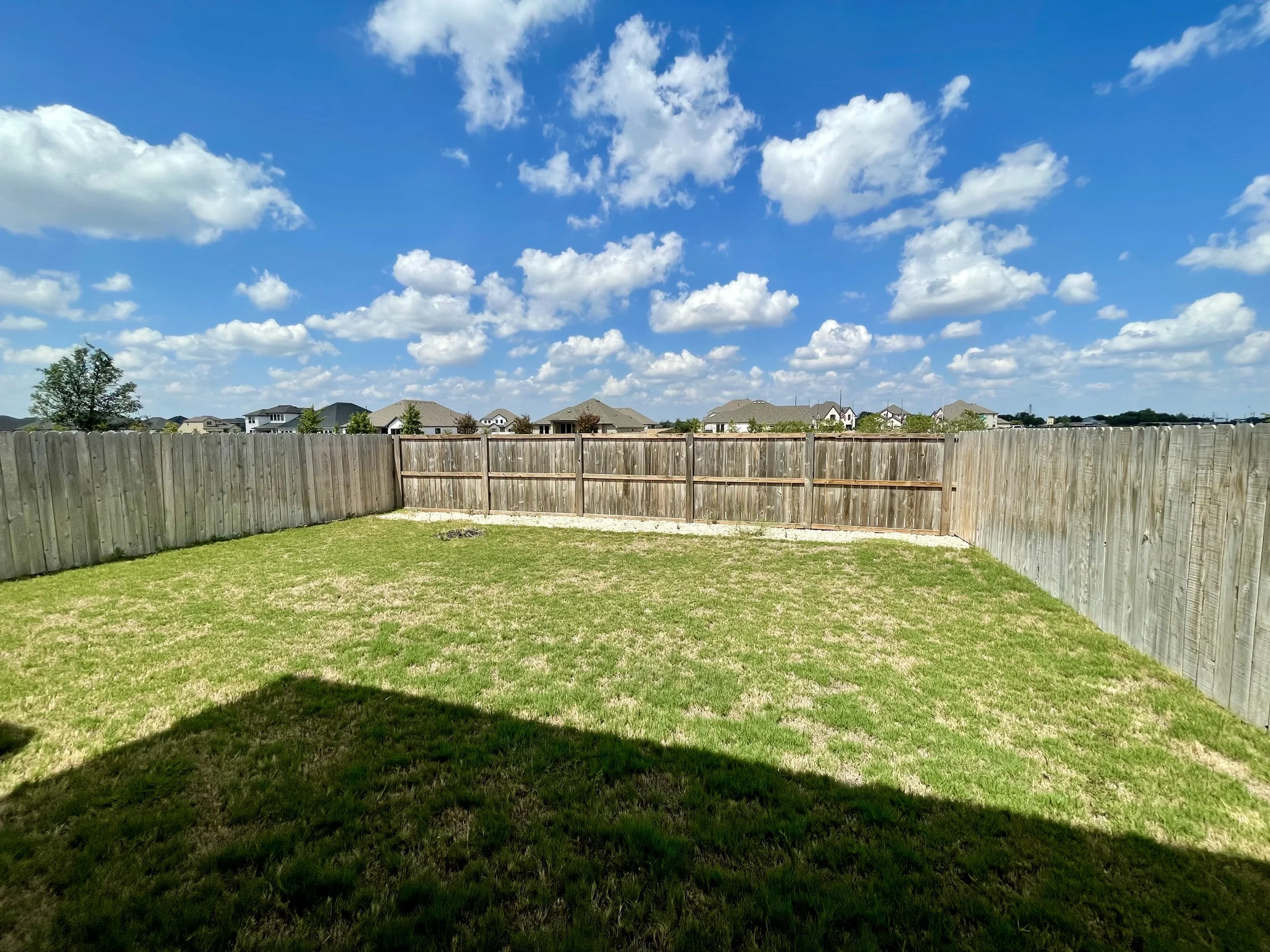 Backyard