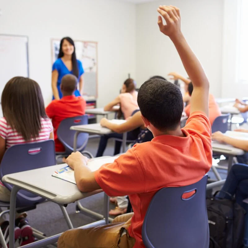 Sustainable School-Based Mental Health Services 
