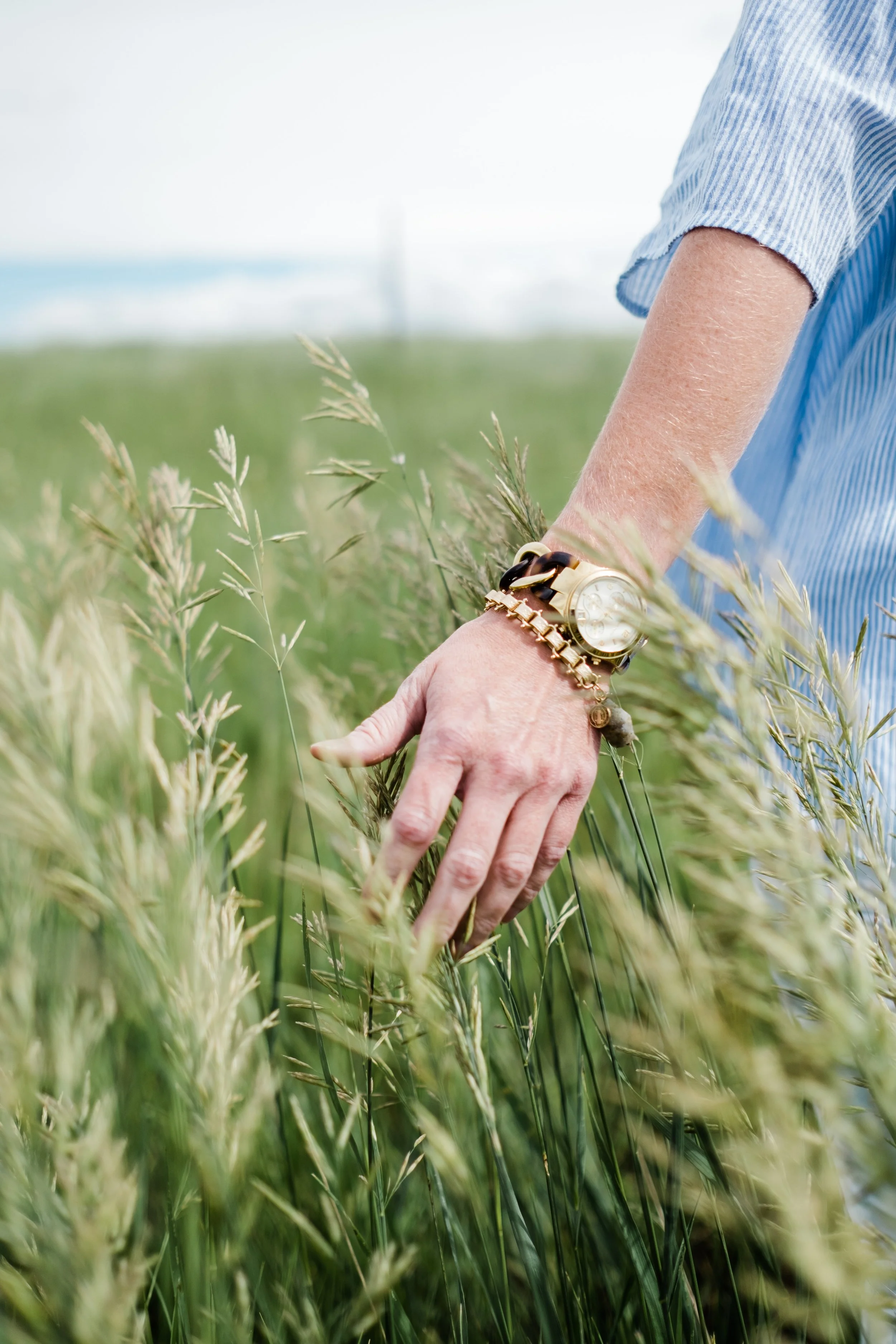 Hand touching tall grass in a field with a person wearing a blue striped shirt and watch