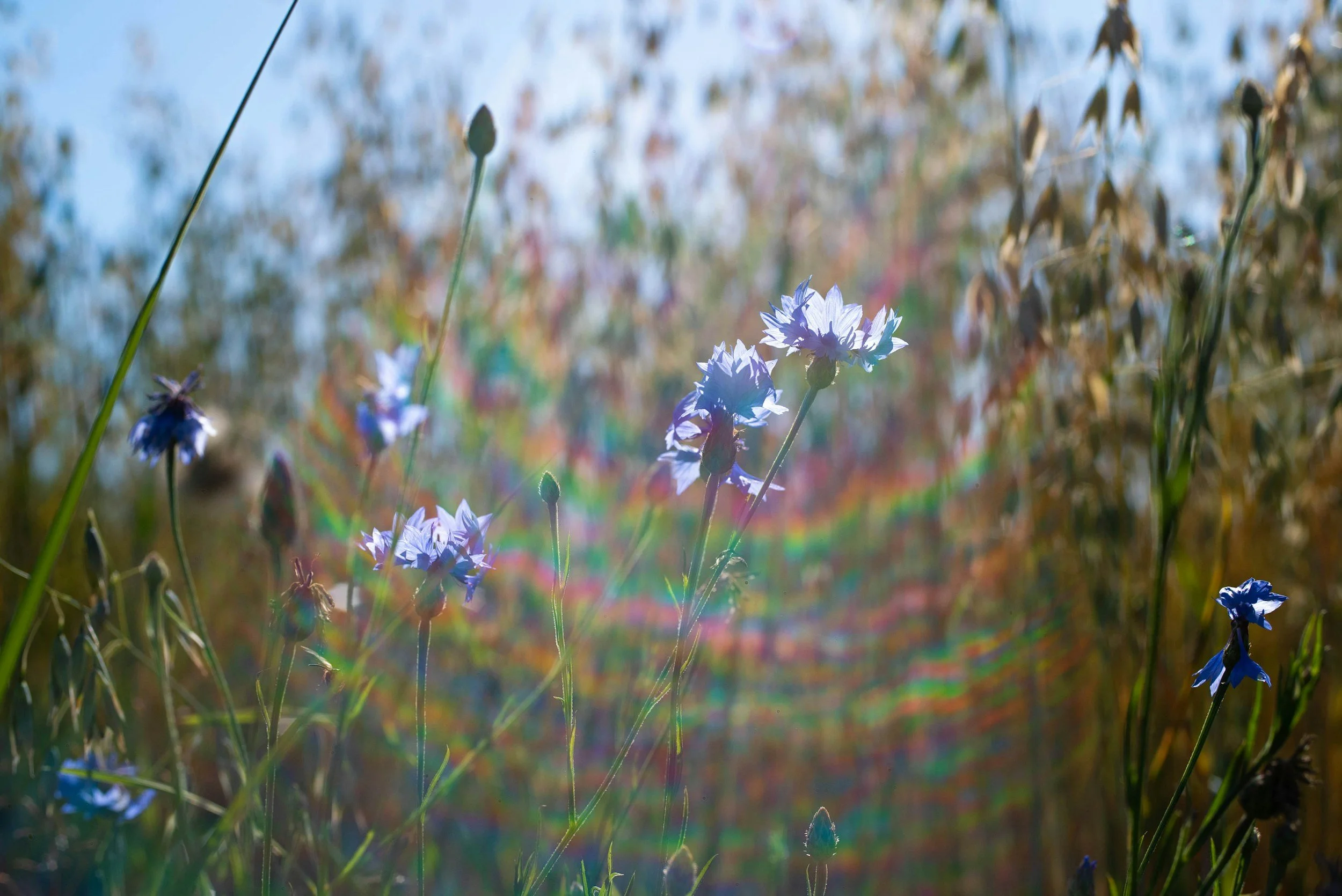 The Self-Care Spectrum: Finding Balance Between Doing and Being