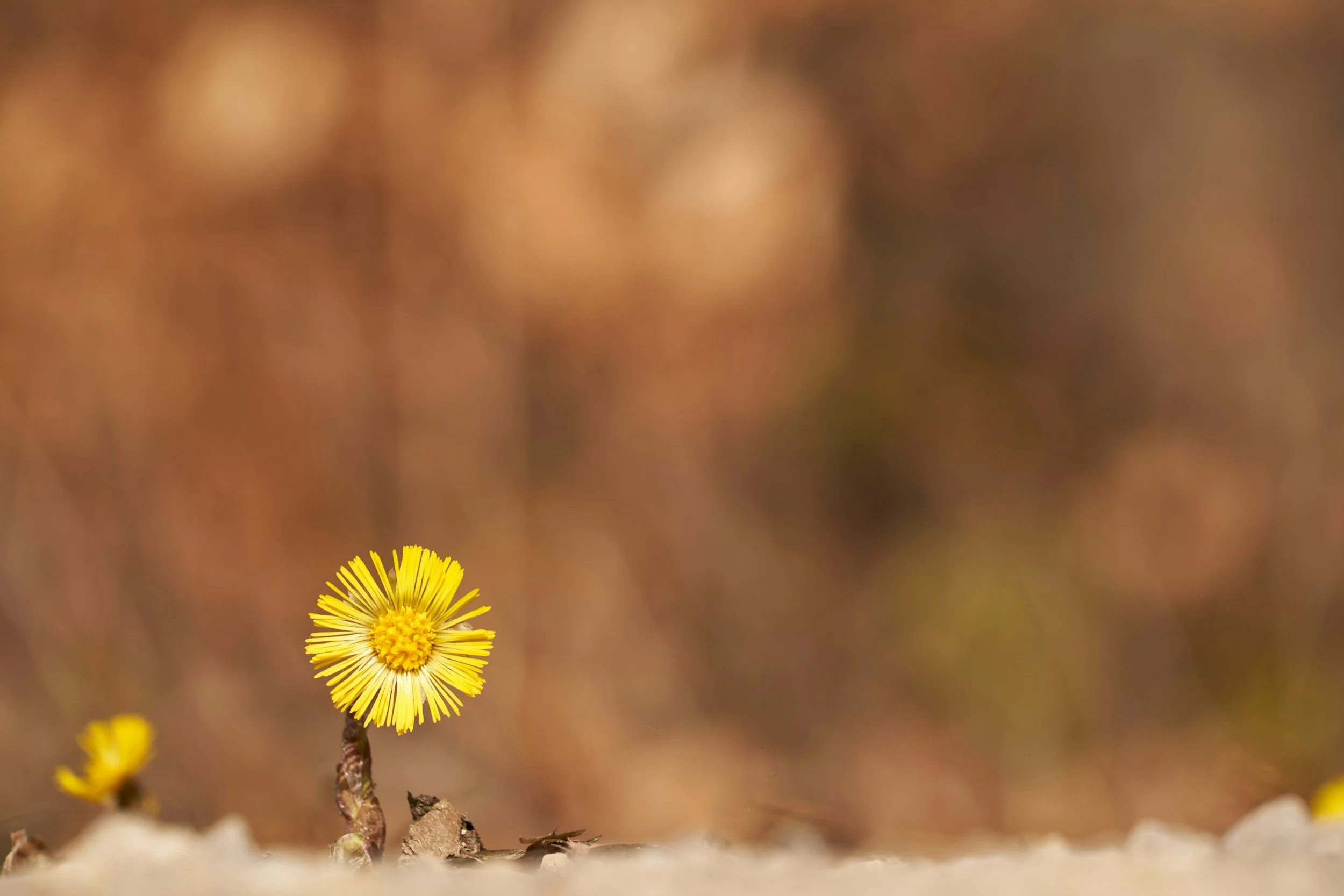 The Power of Doing Nothing: Restoring Your Energy and Focus