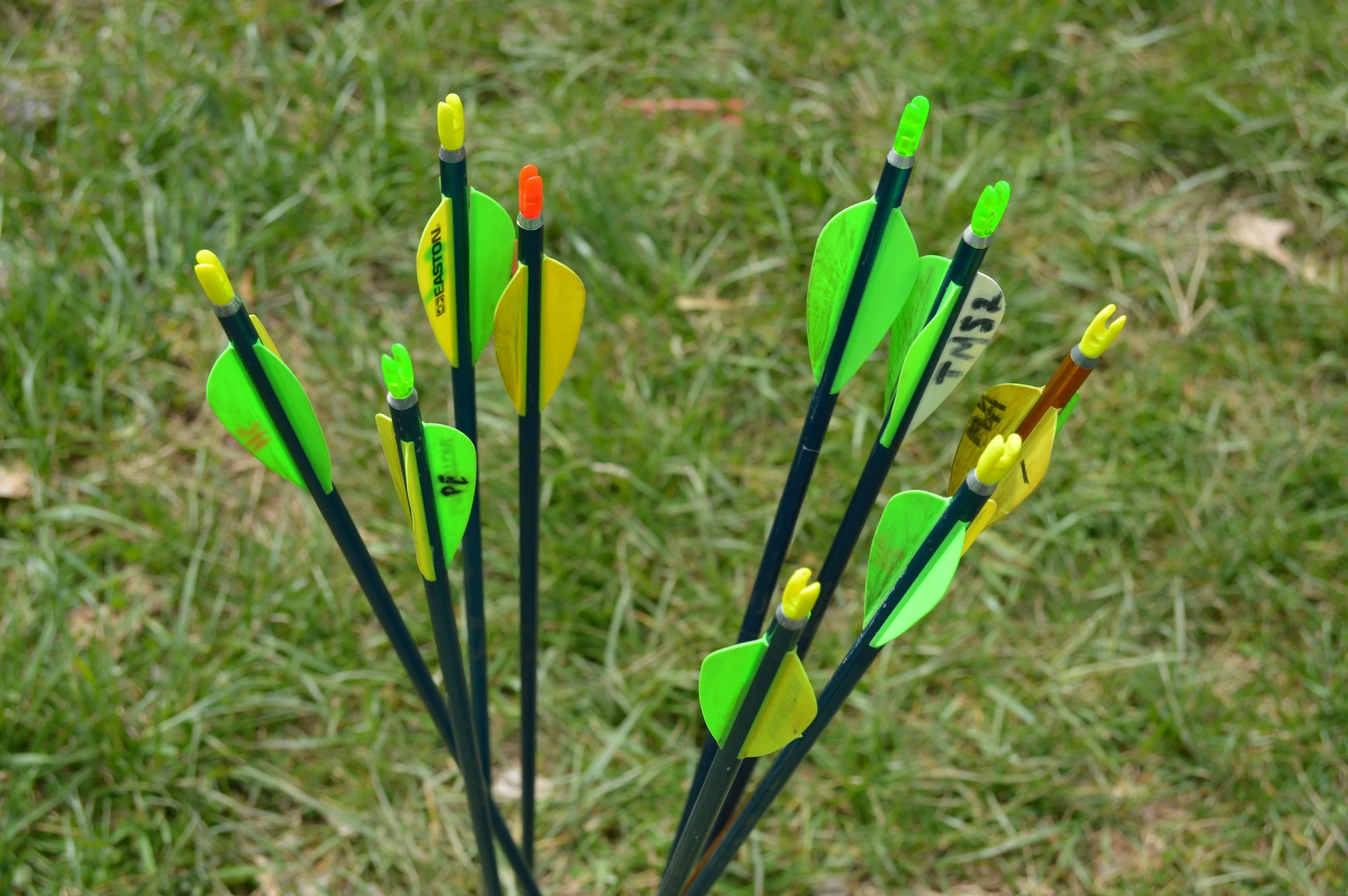 Picking Up the Bow Again: What Archery Taught Me About Returning After a Break