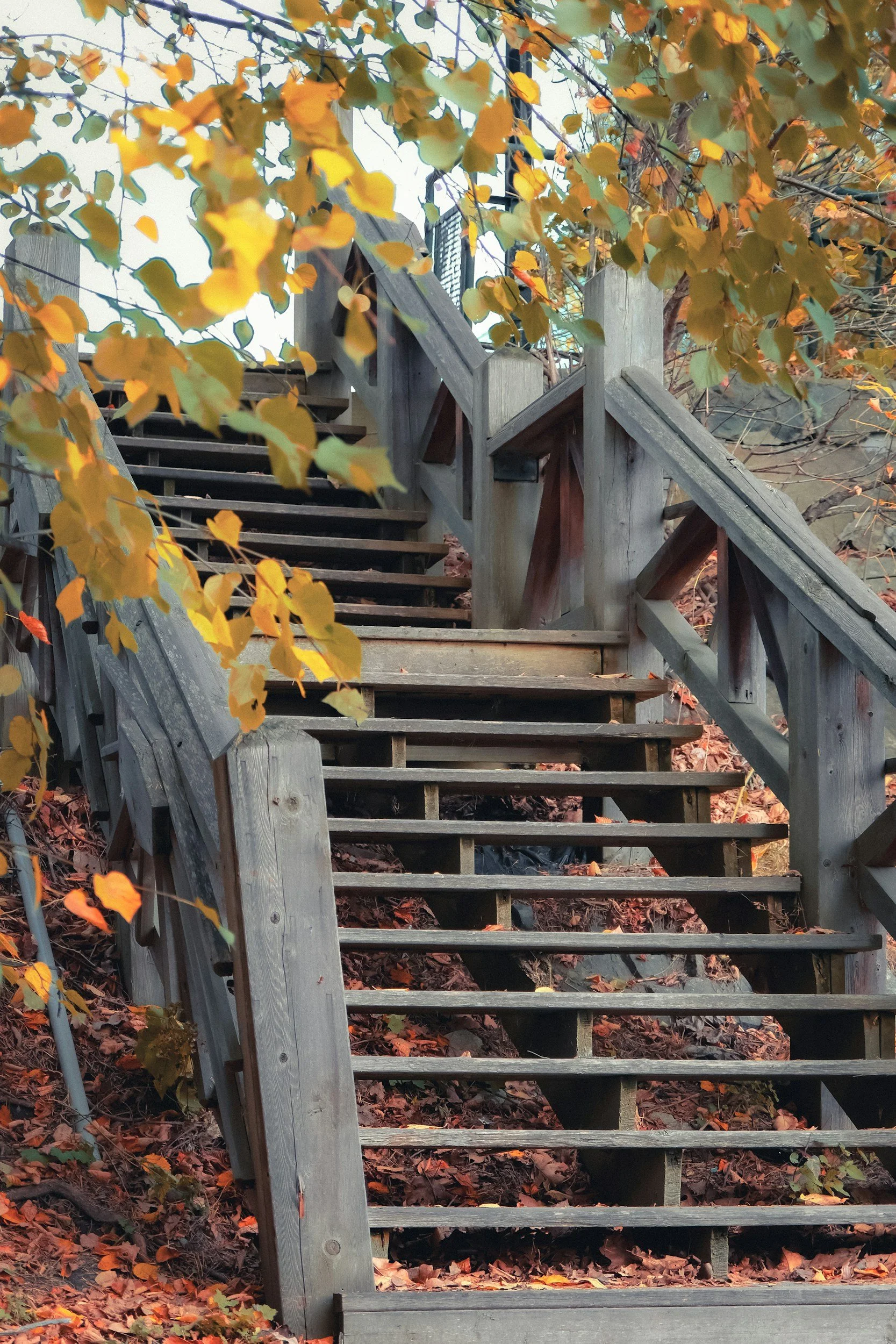 The Power of Small Steps: Building Change Gently This Autumn