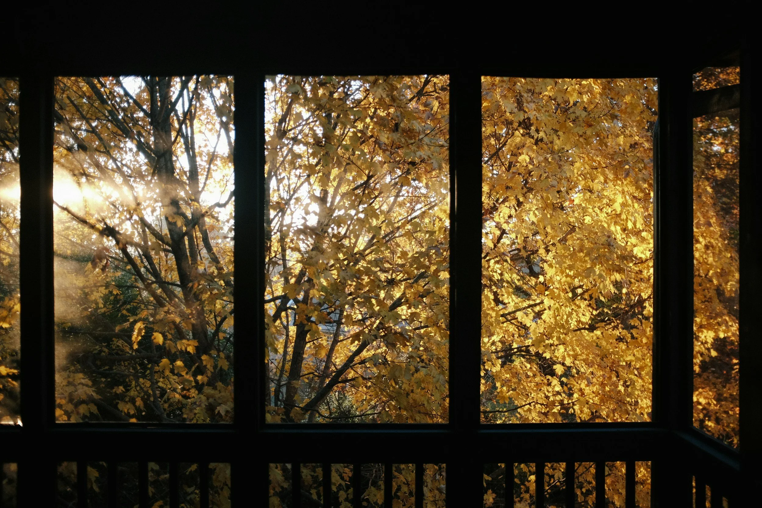 Balancing Giving and Receiving: Learning to Care for Yourself Without Guilt