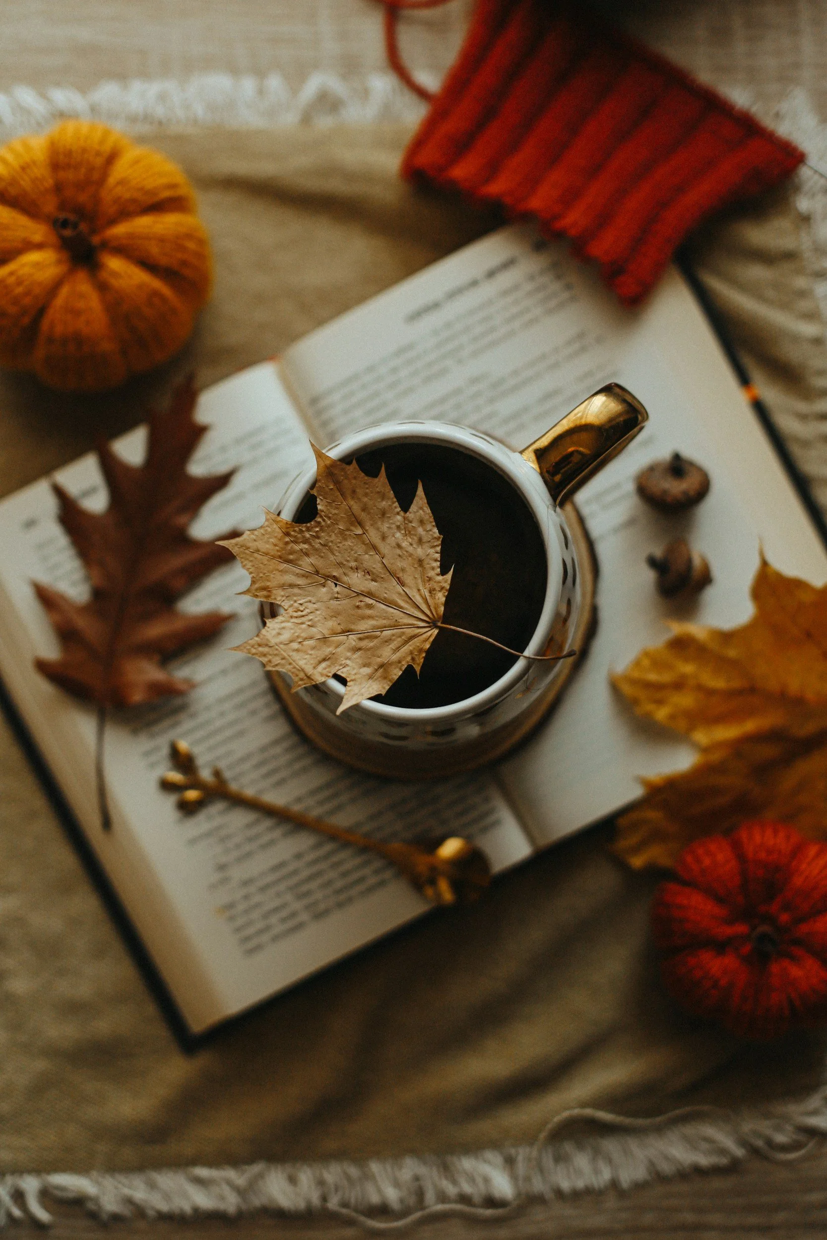 🍞 Toast, Tea, and Tiny Joys: Reframing November with Gratitude