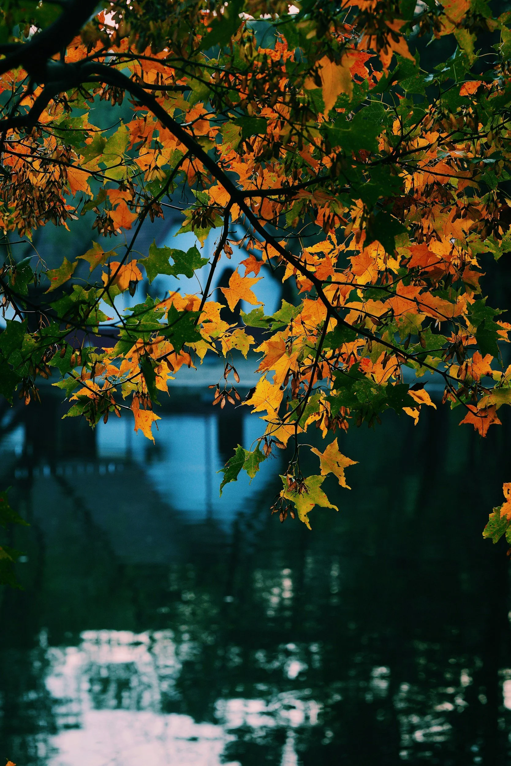 Wonder in the Everyday: Slowing Down When Life Speeds Up