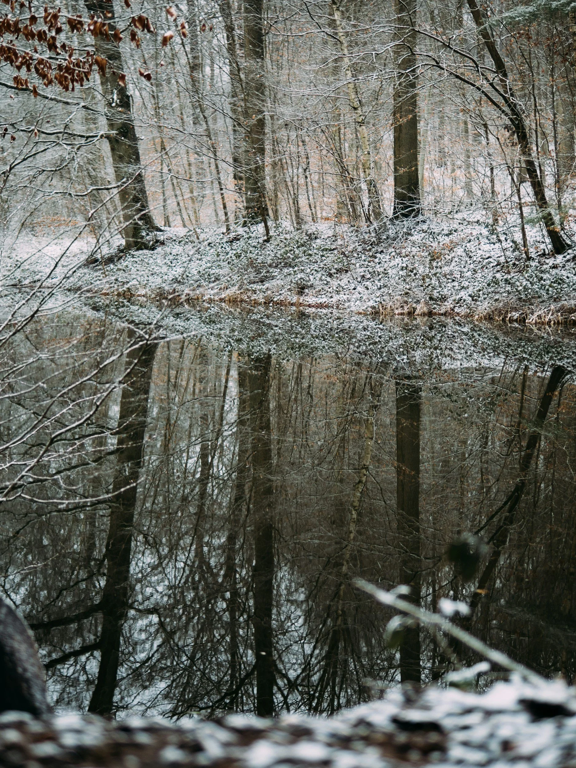 Closing the Year With Wonder