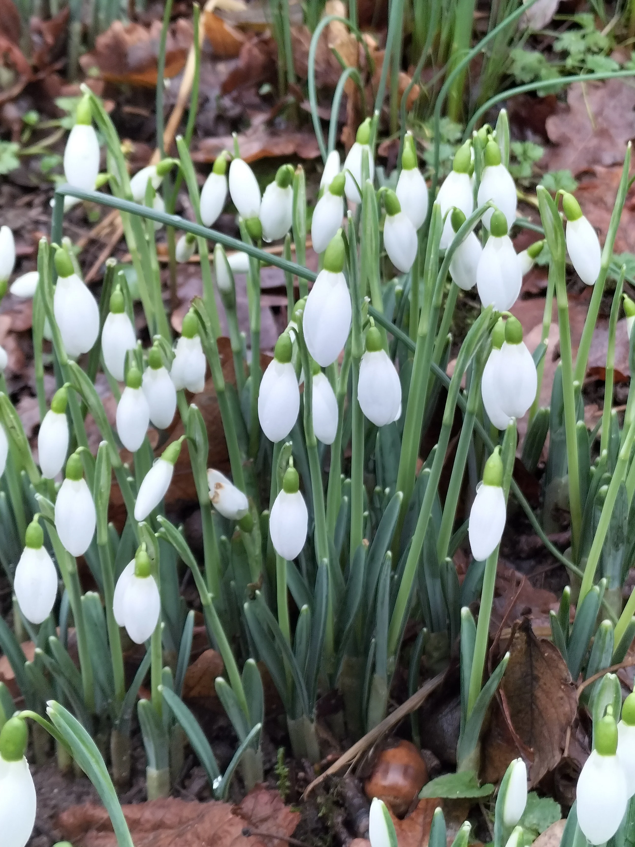 The Art of Gentle Momentum: Small Steps That Still Count