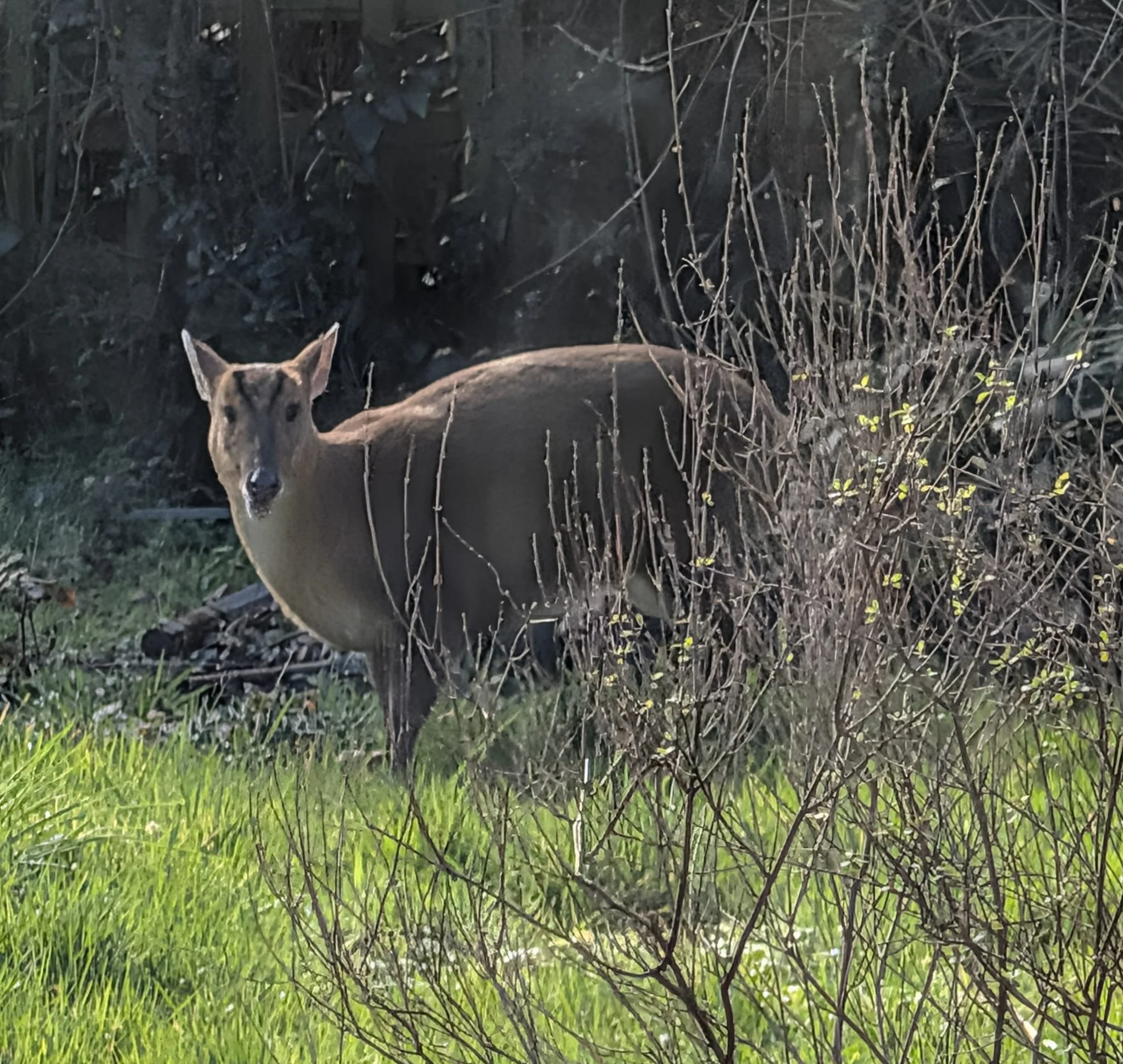 Nurturing Relationships Without Losing Yourself