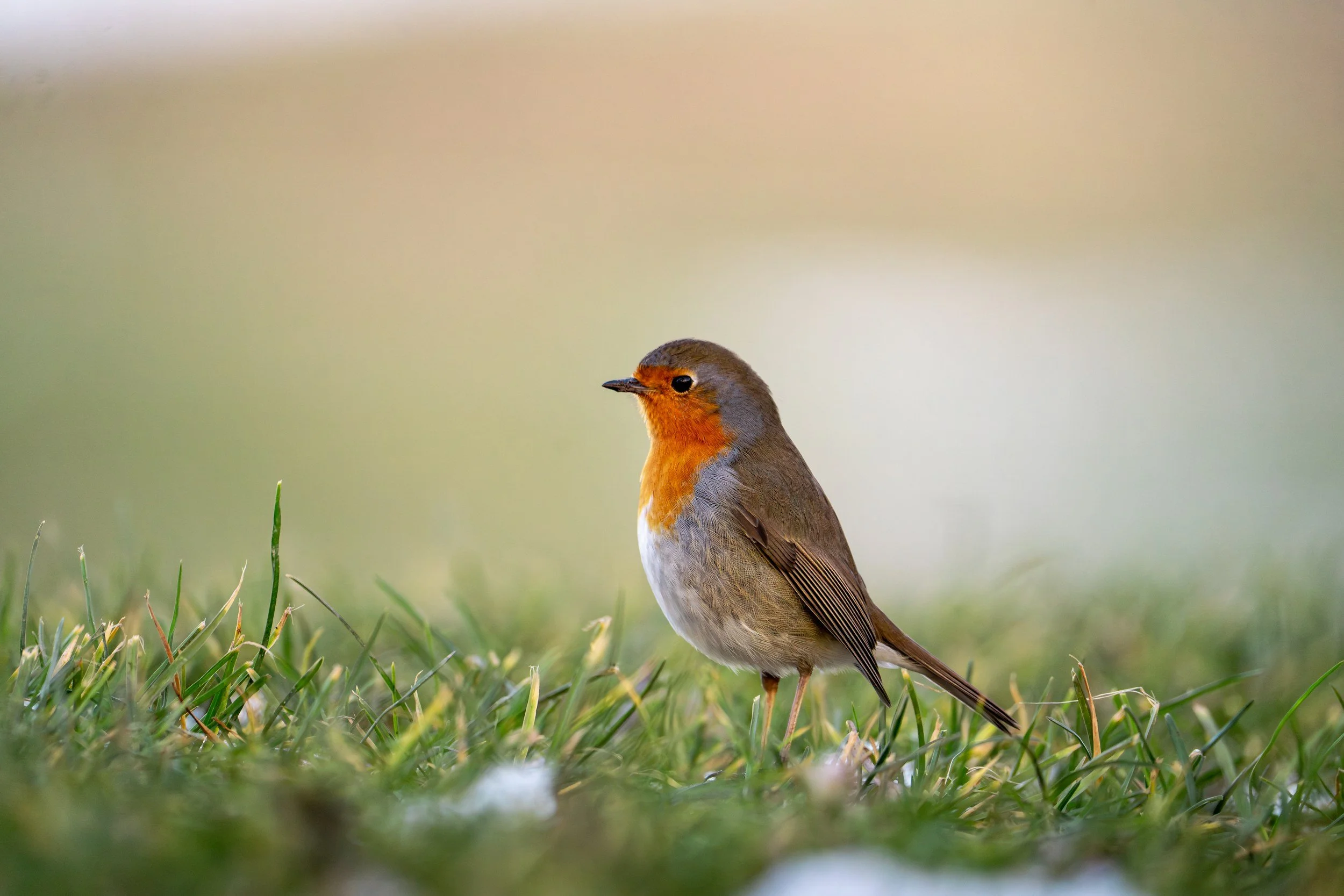 Quiet Strength Isn’t Silence