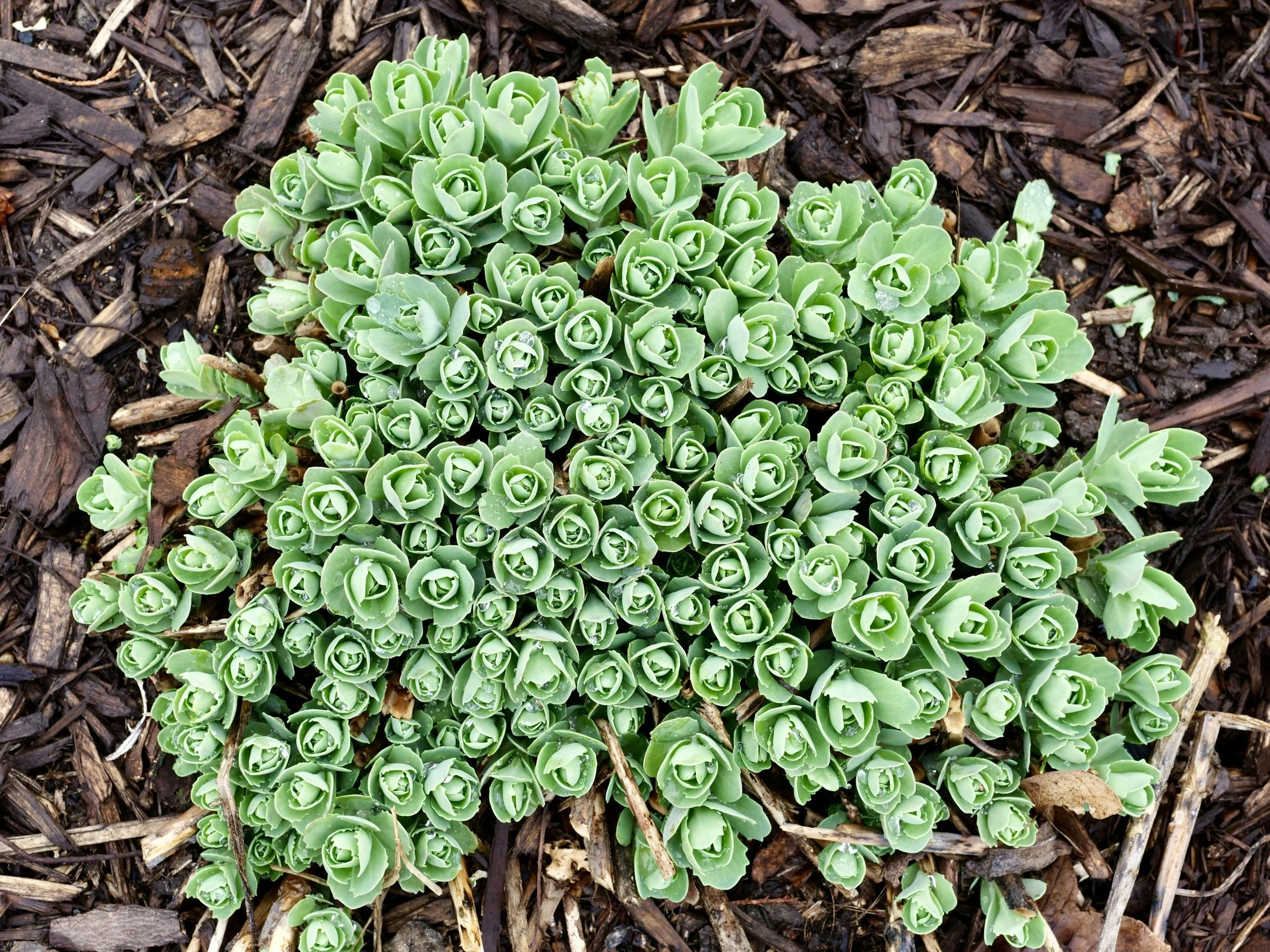 Emerging Doesn’t Mean Rushing