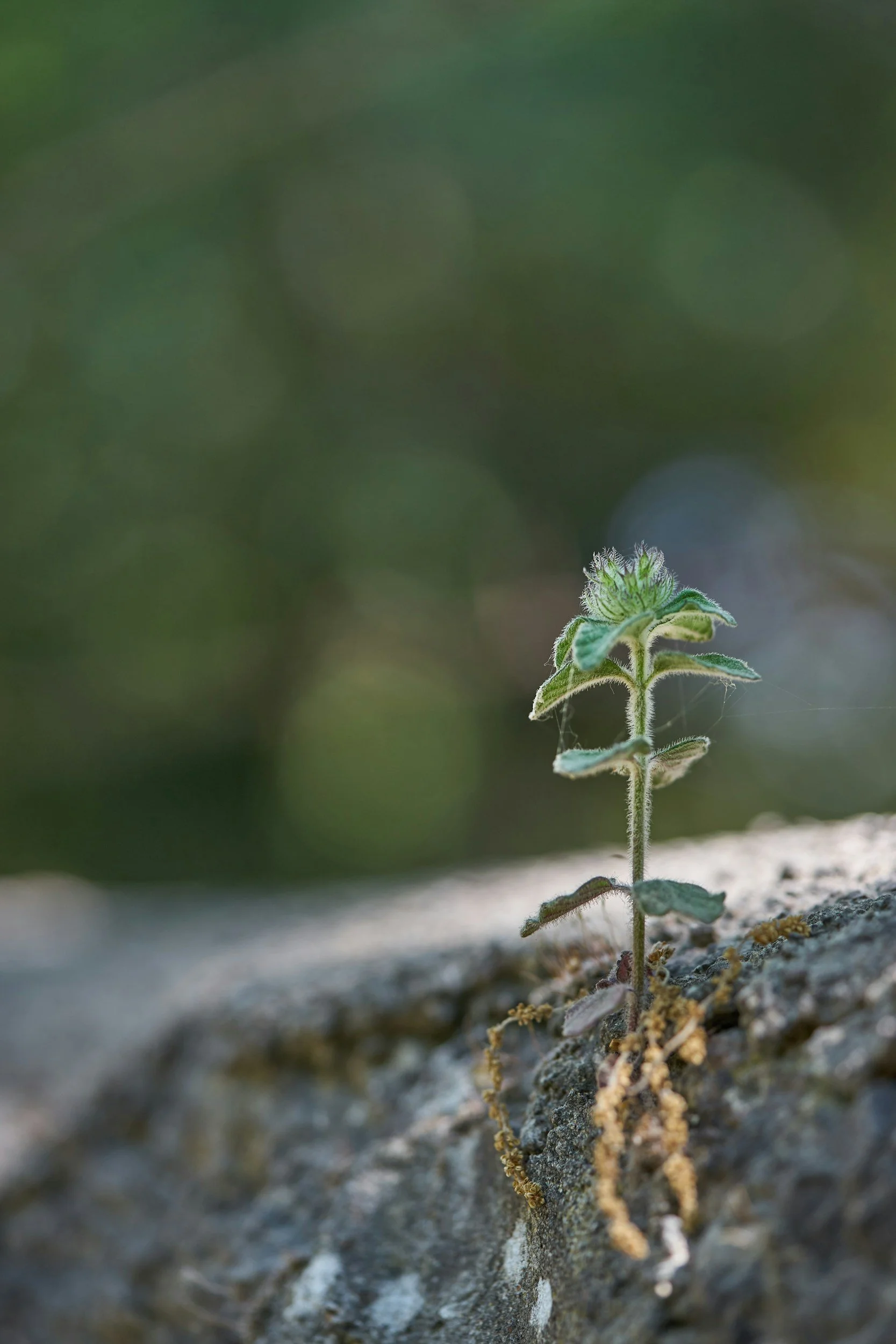 Emerging Means Trusting Yourself Again