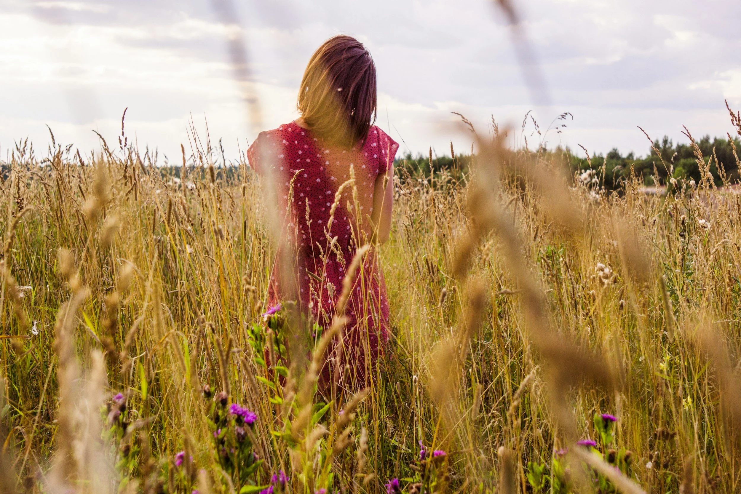 A girl in a red dress with white polka dots standing in a field of tall golden grass with purple flowers, facing away from the camera under a partly cloudy sky.