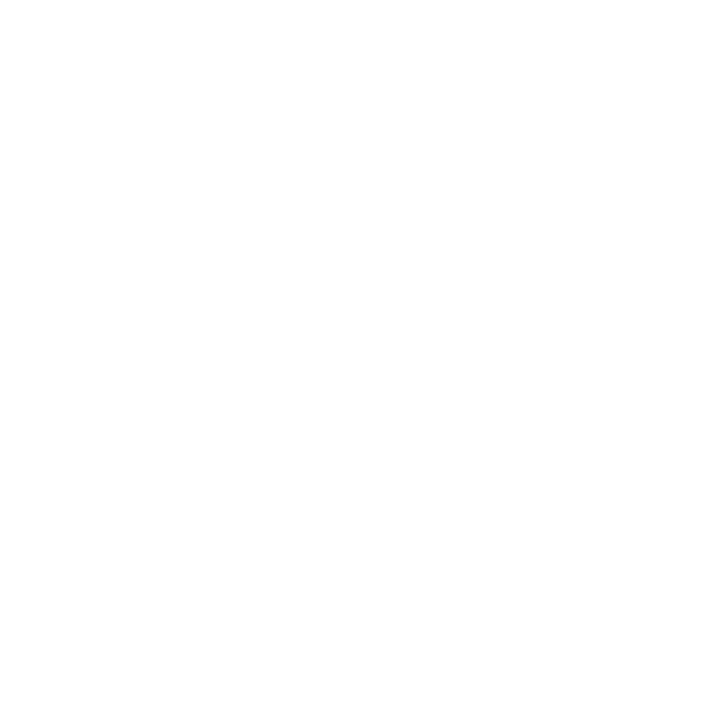 THE SAFE PLUG