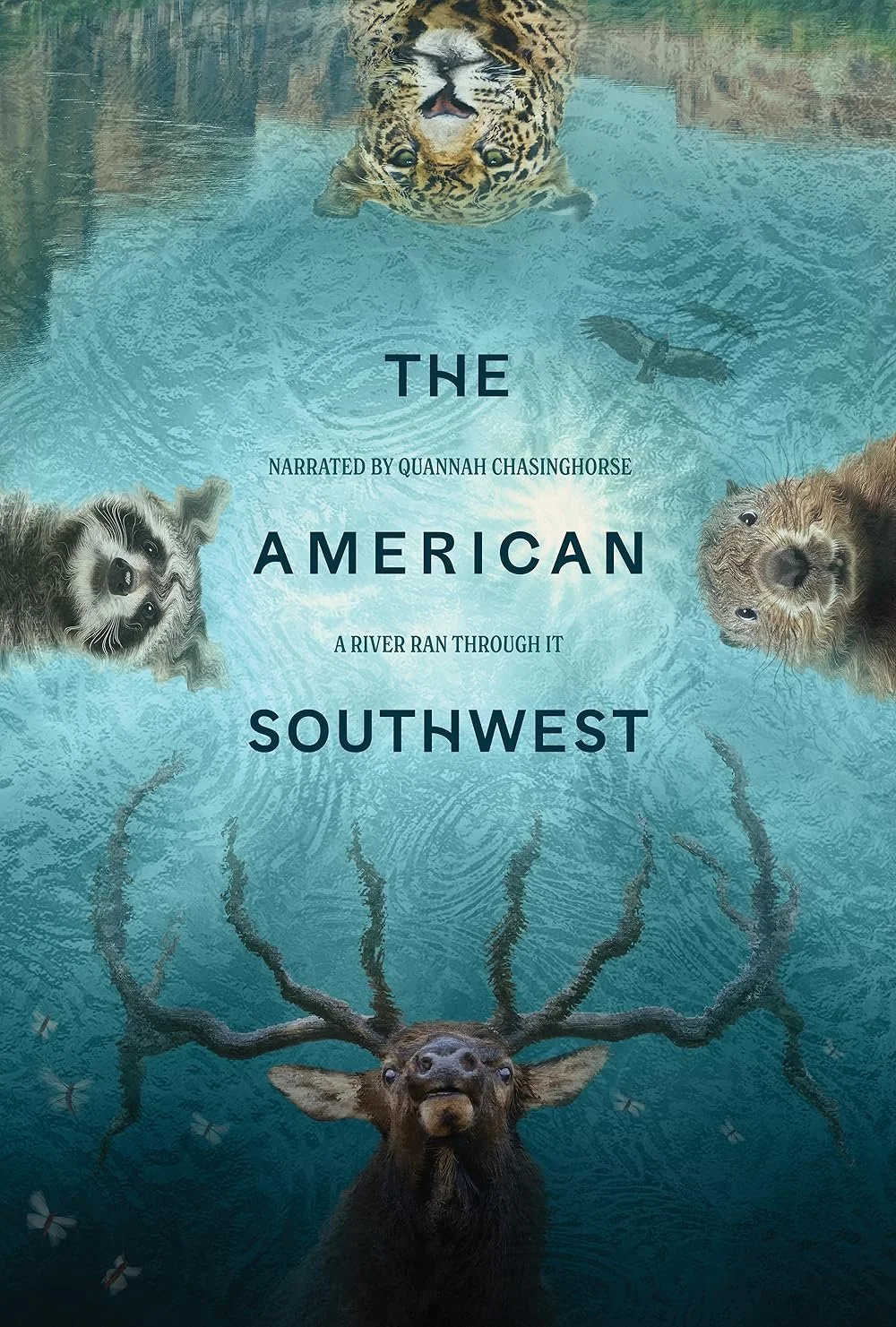 The American Southwest Ben Masters Fin and Fur Productions nature documentary sound design water policy
