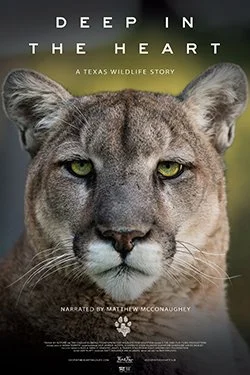 Deep in the Heart: A Wildlife Story